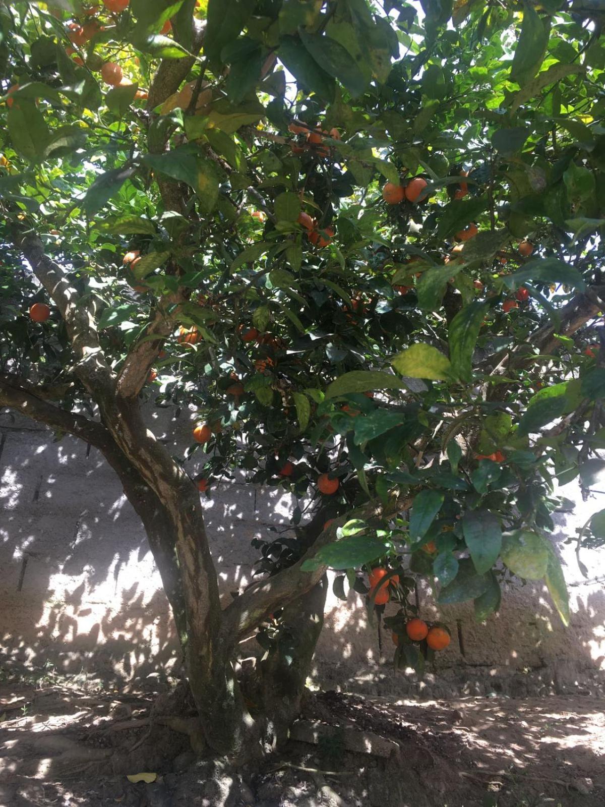 POUSADA PE NA TERRA EM GUARAREMA