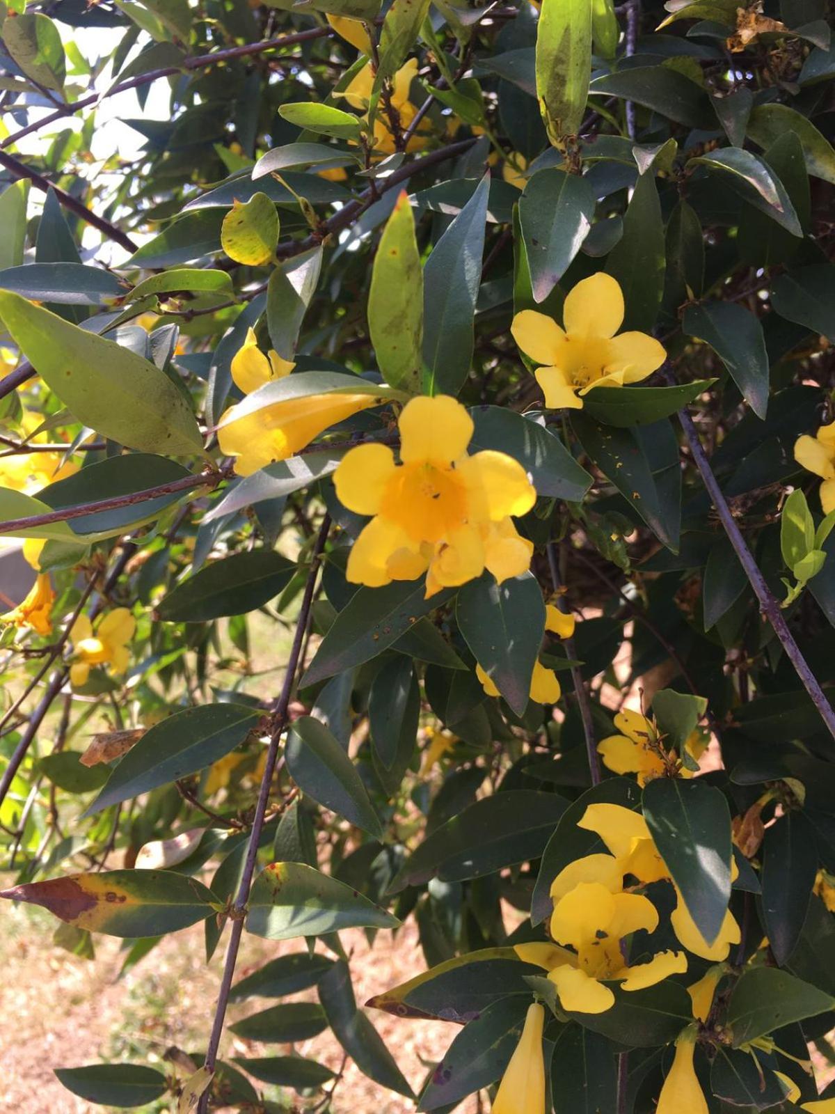 POUSADA PE NA TERRA EM GUARAREMA