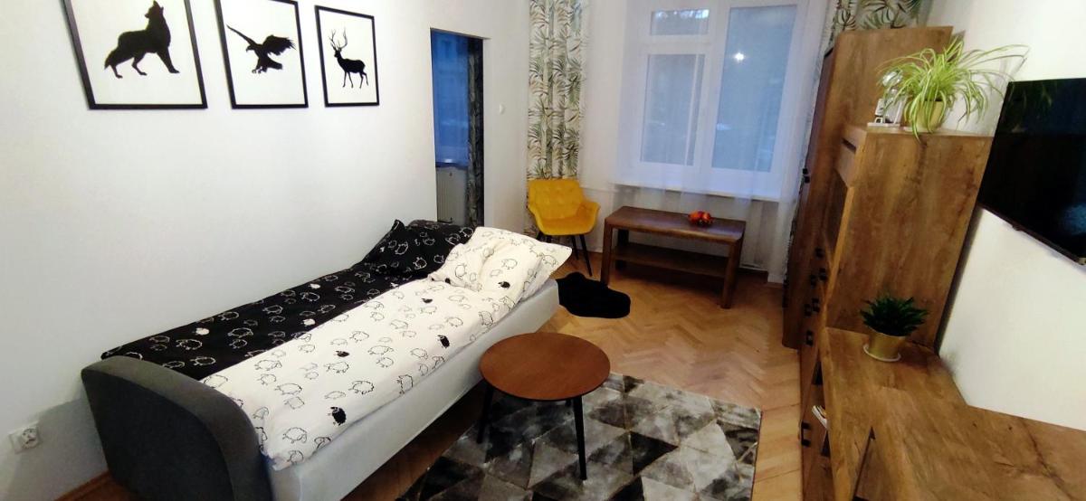 Apartament przy Parku view 4