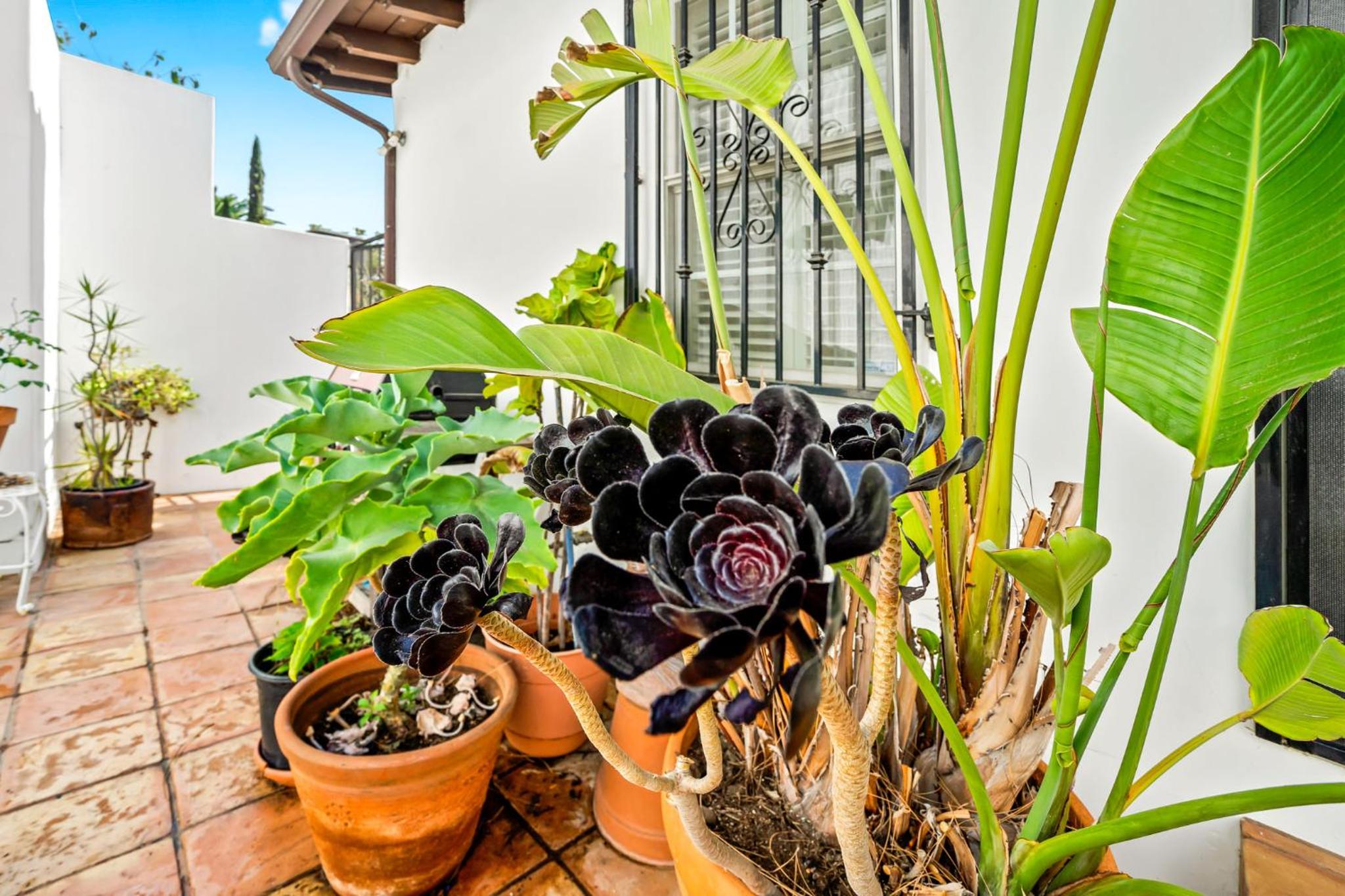 Hollywood Hills Homestay