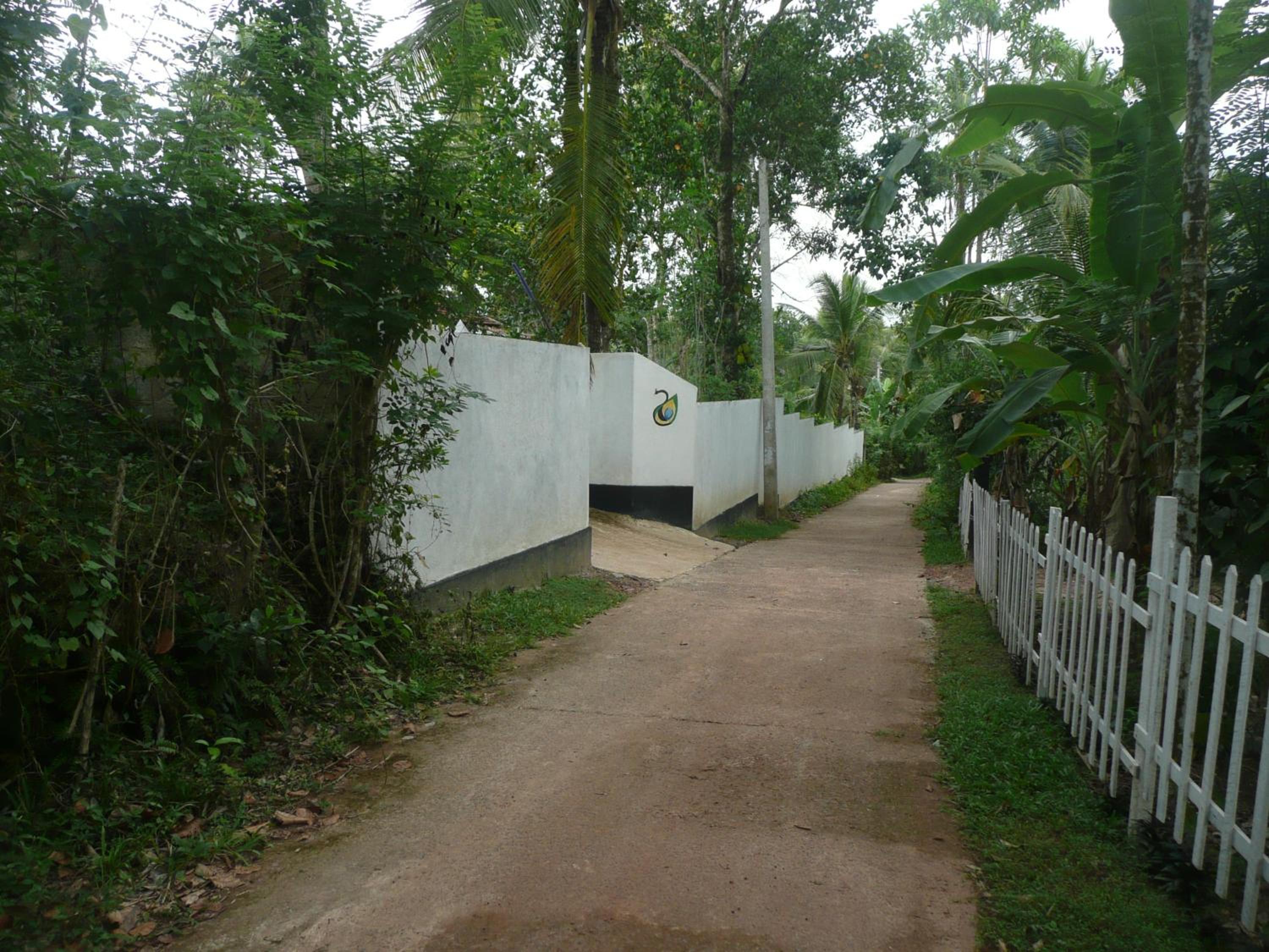 Serendipity (Weligama) view 3