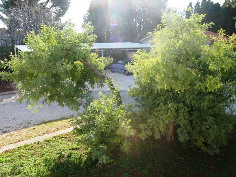 Photo 44