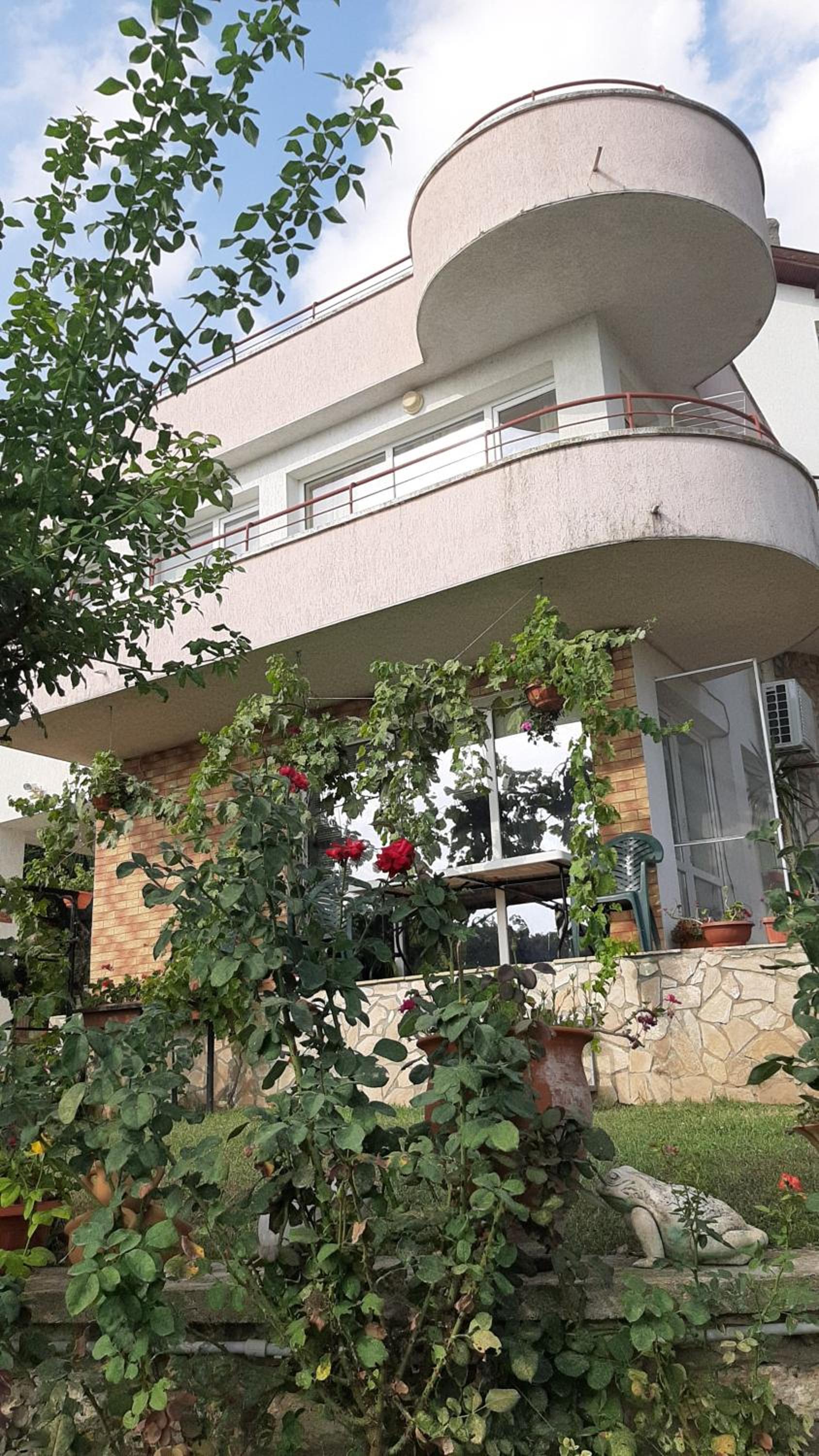 Popov Guest House