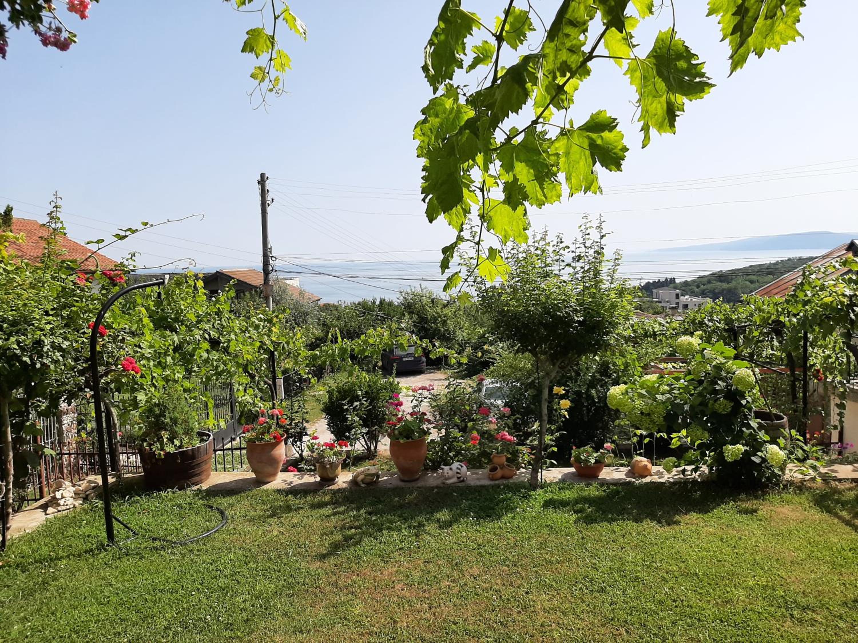 Popov Guest House