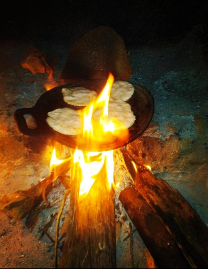 Photo 46