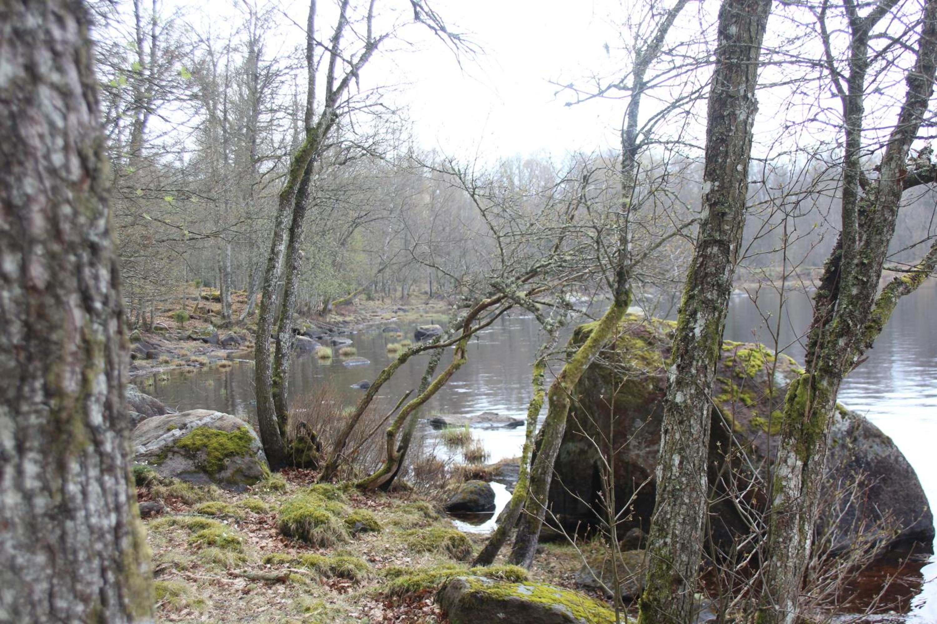 Photo 33