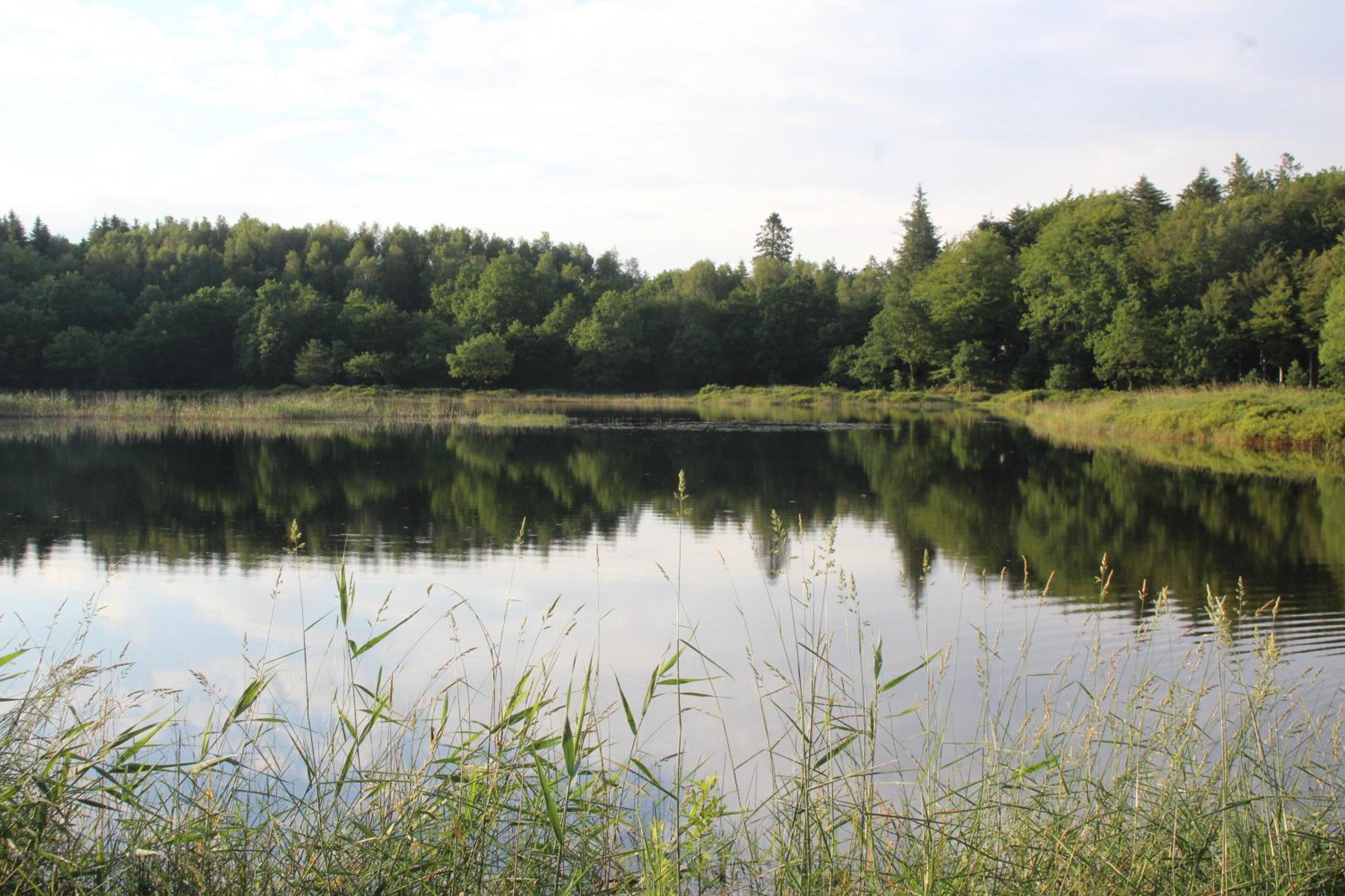 Photo 44