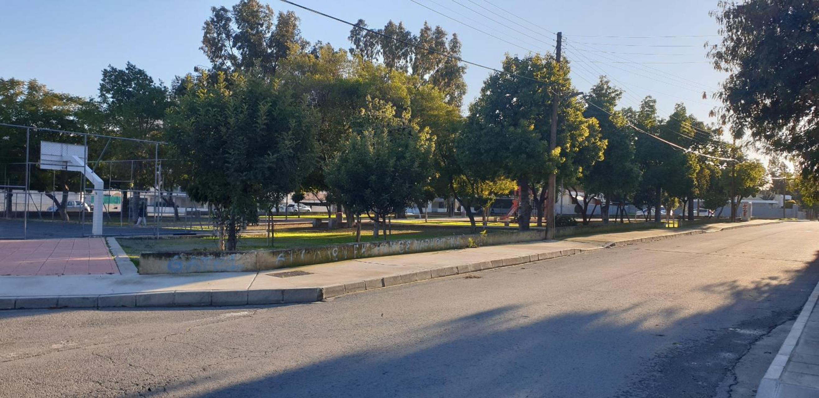 Photo 19