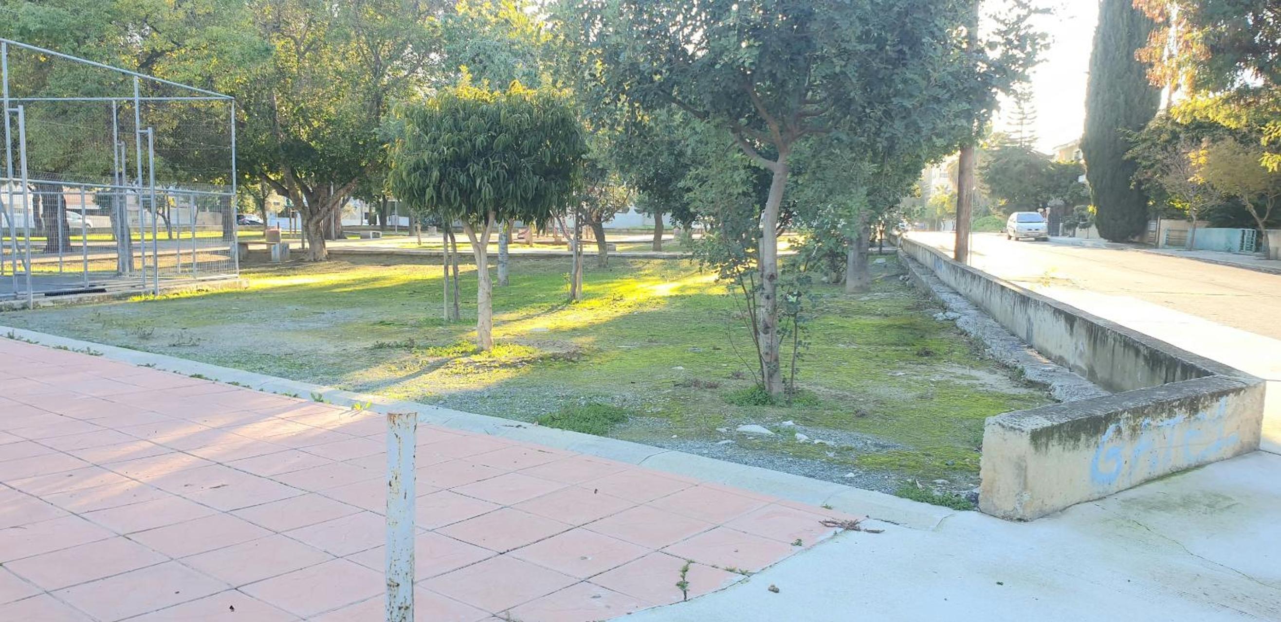 Photo 20