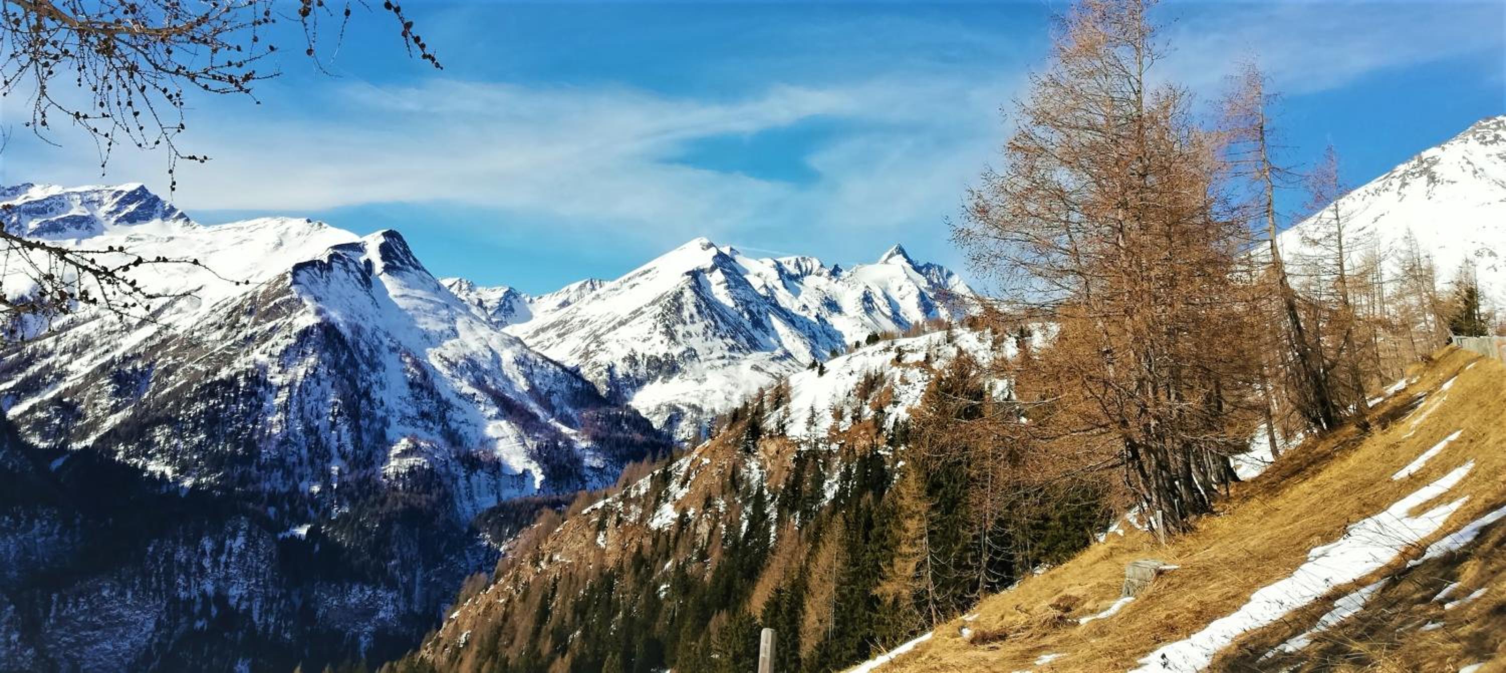 Appartement Seppenbauer - Seppenbauerhof, Kärnten Card inklusive, Ticket Großglockner Hochalpenstraße