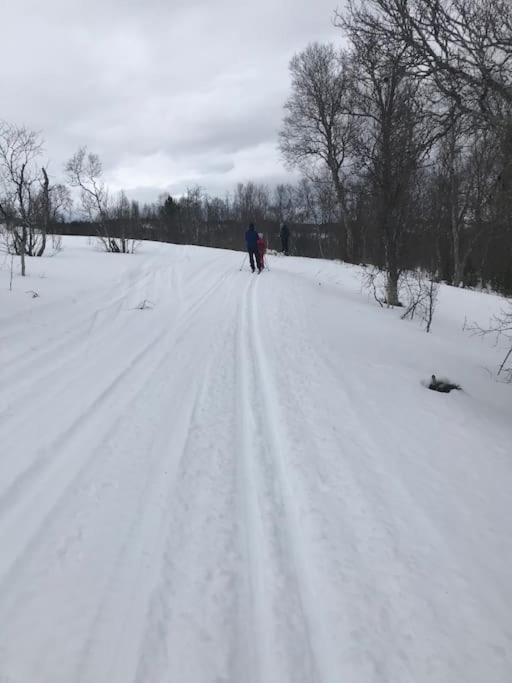 Photo 21
