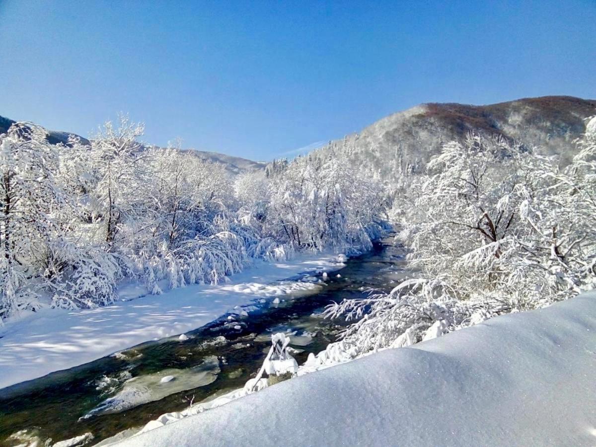 Жива вода view 3