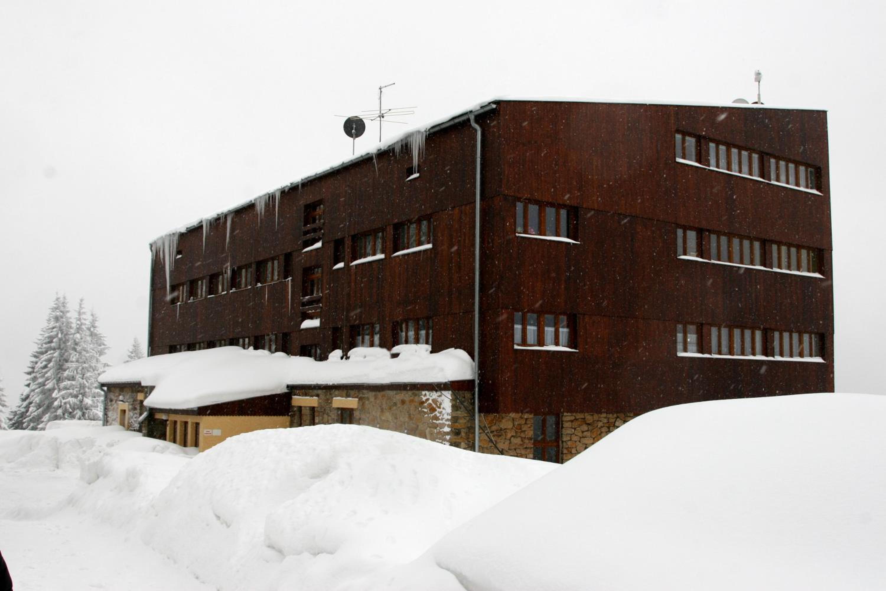 Photo 11