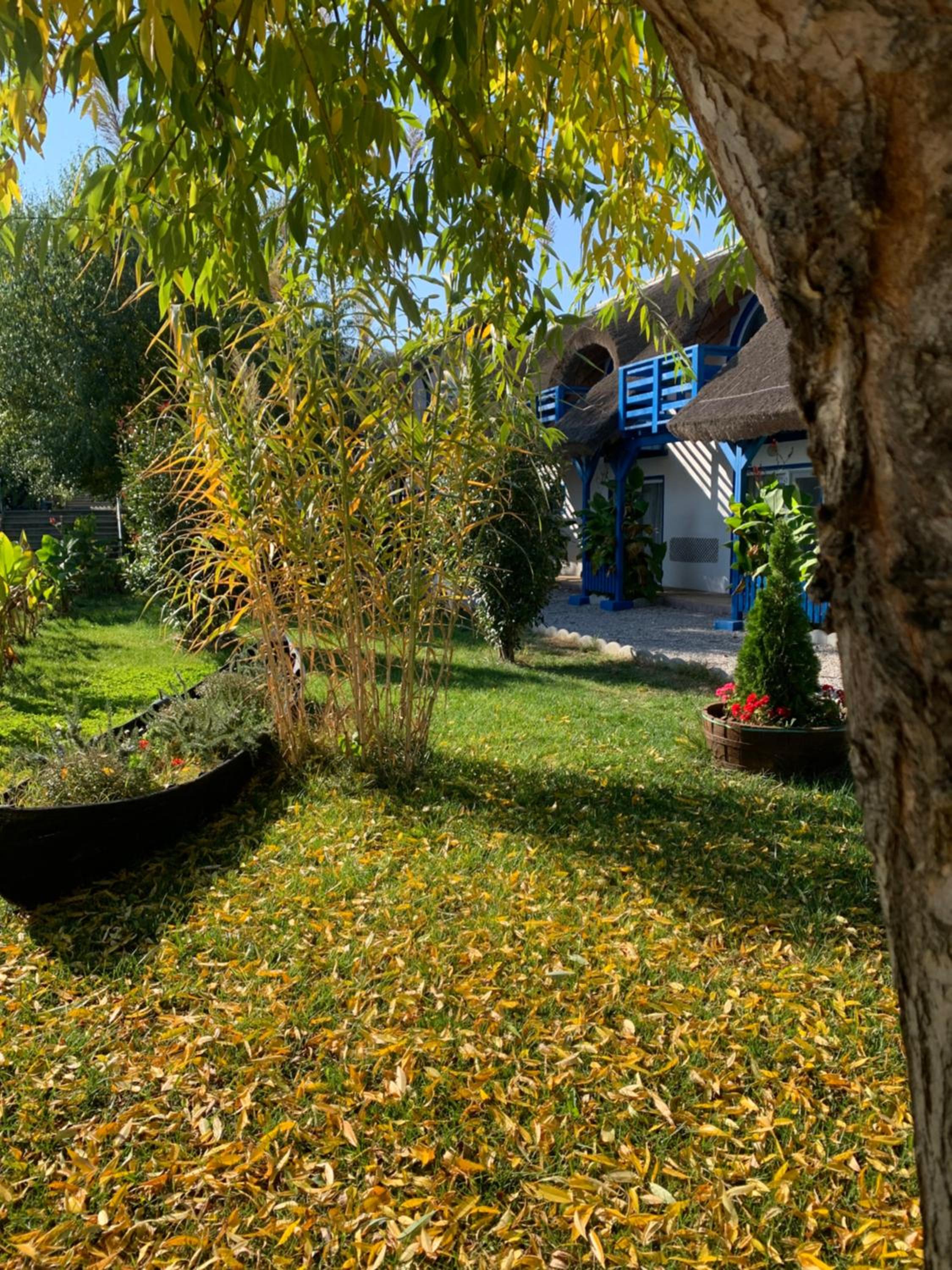 Orizont-Mahmudia