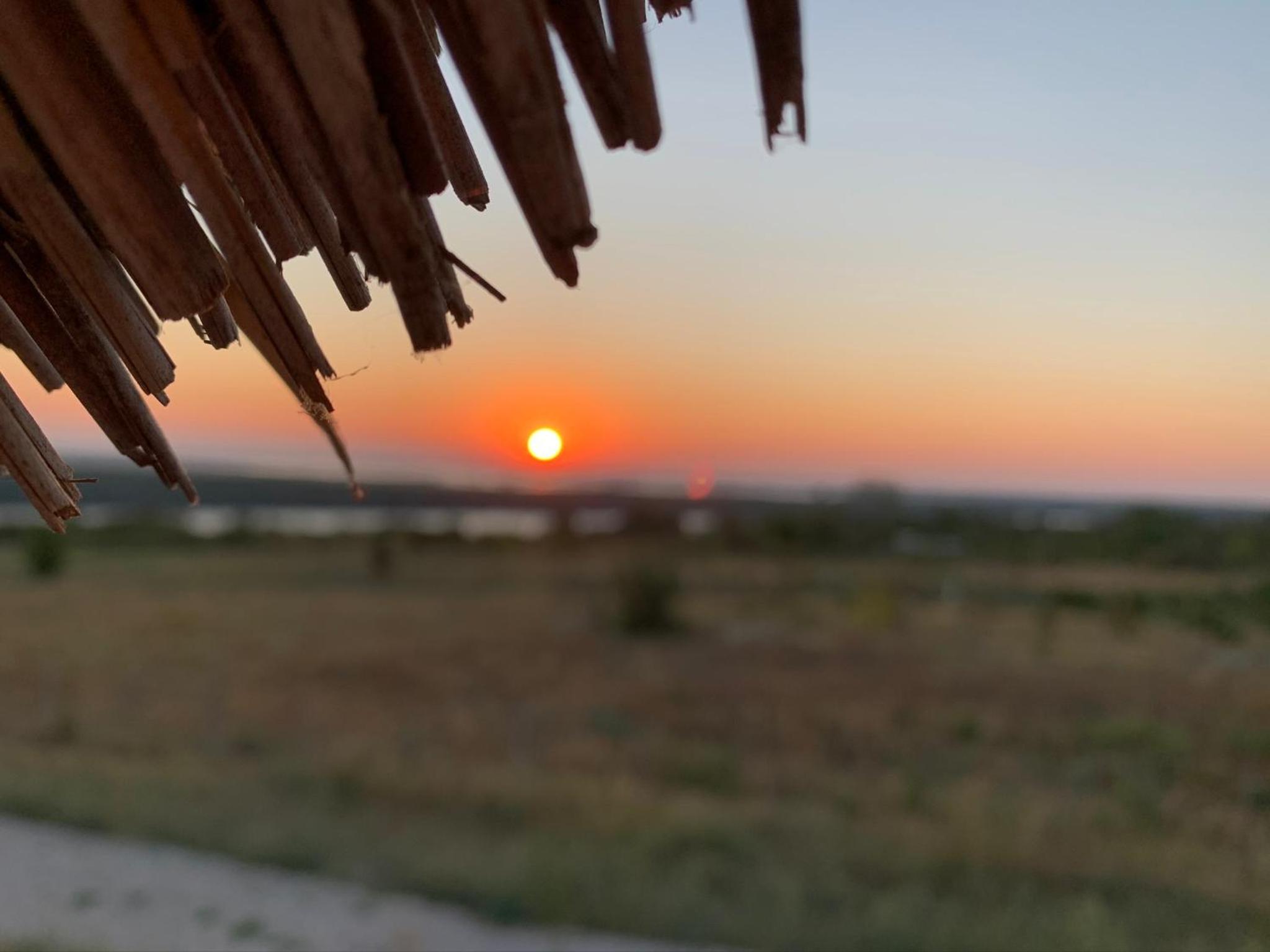 Orizont-Mahmudia