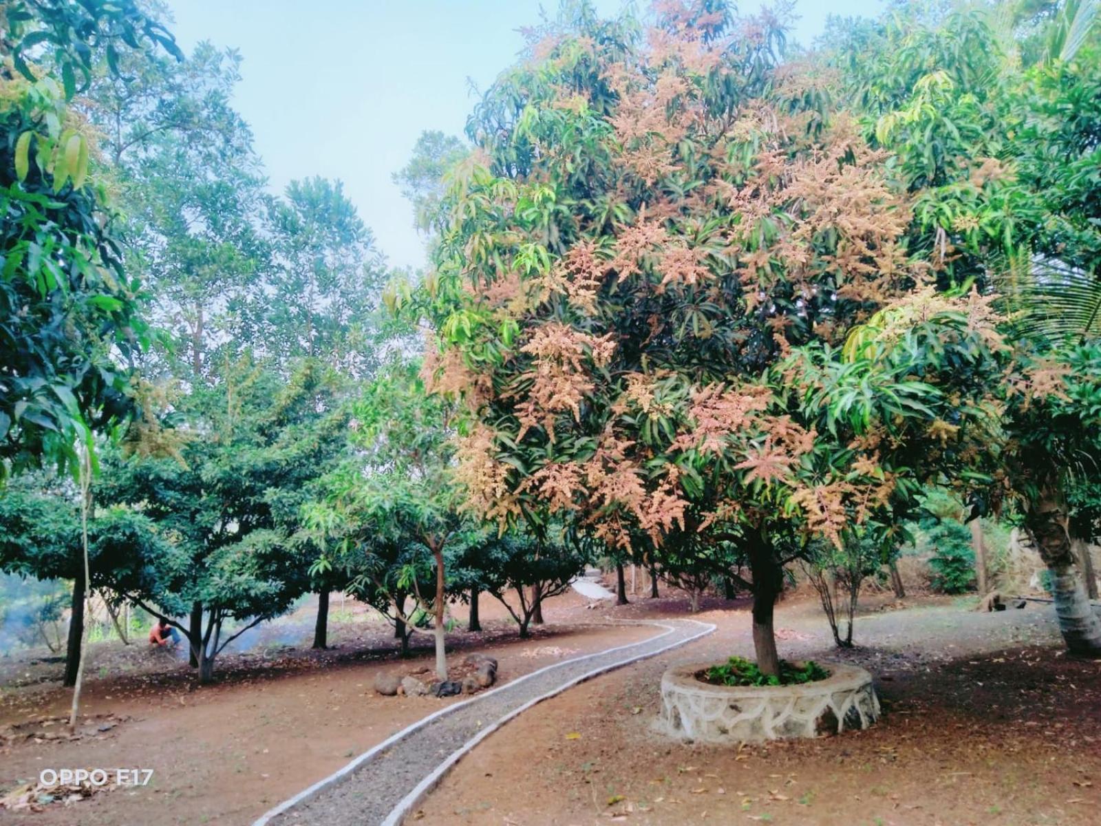 RS Farmstay