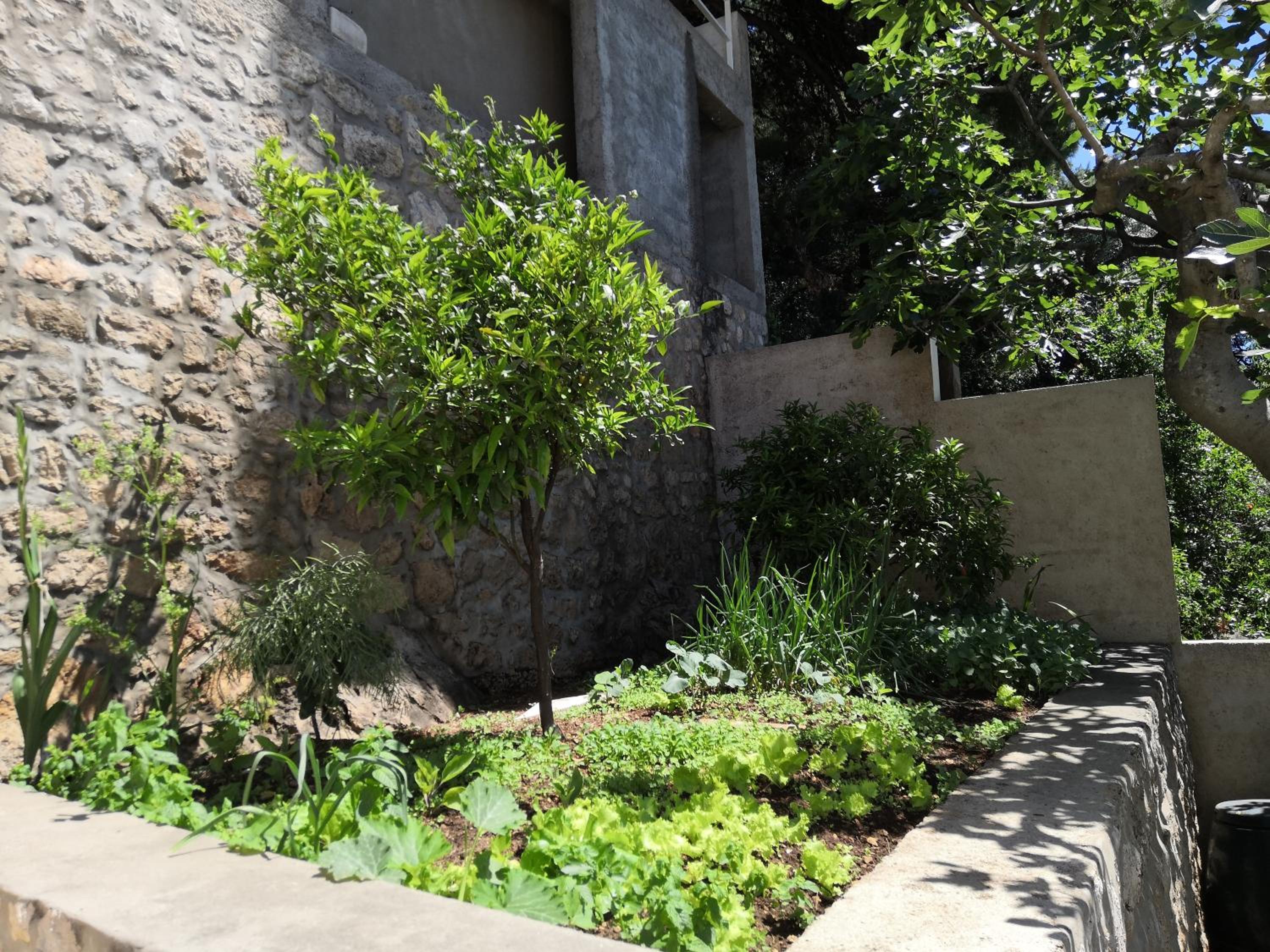 Guest House Blaise