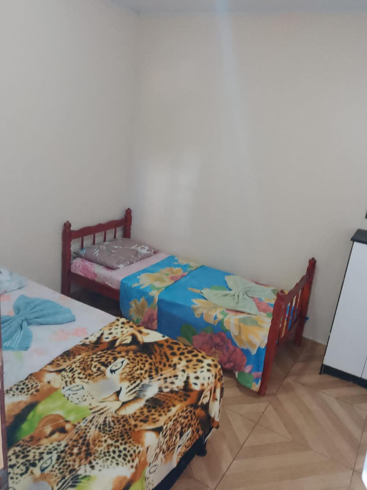 Photo 51
