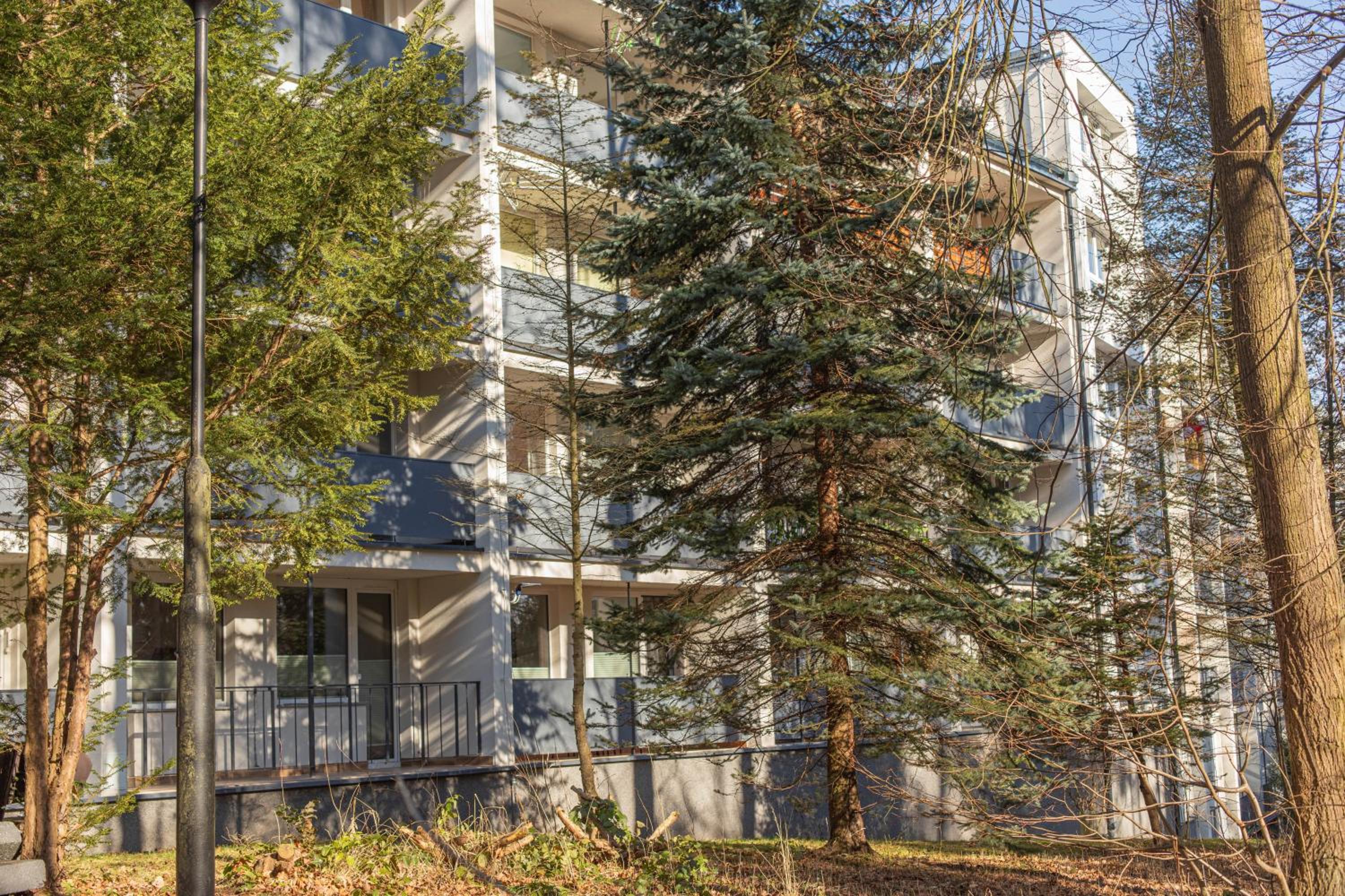 Apartament Jelonek Zdrój view 3
