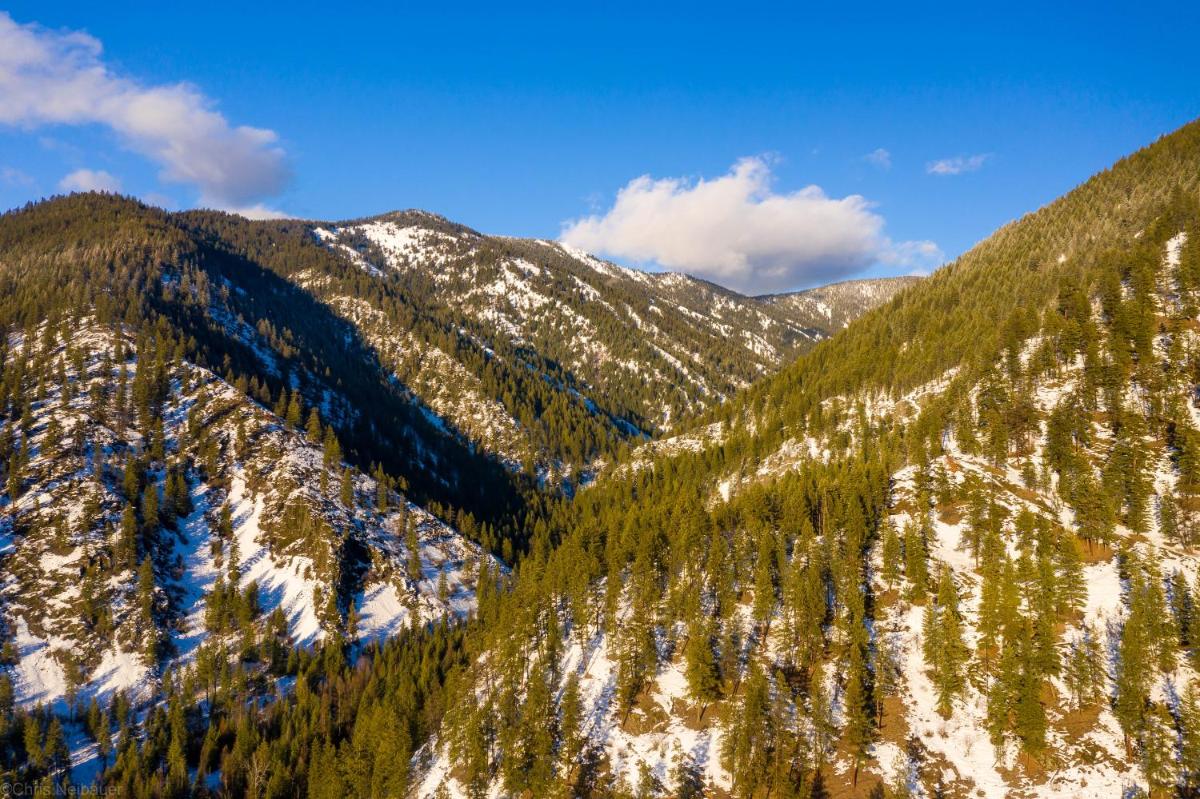 bear creek resort