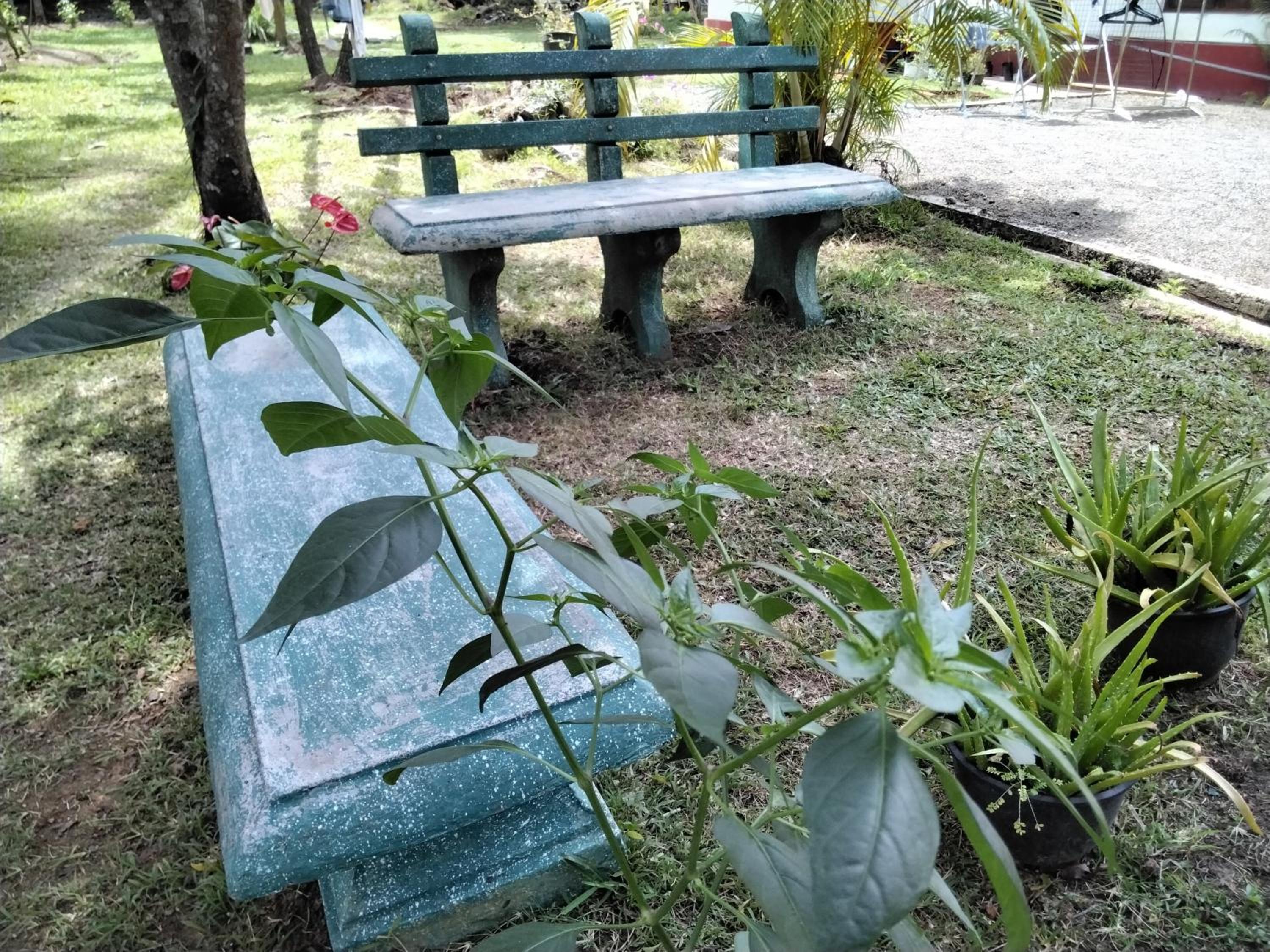 Photo 41