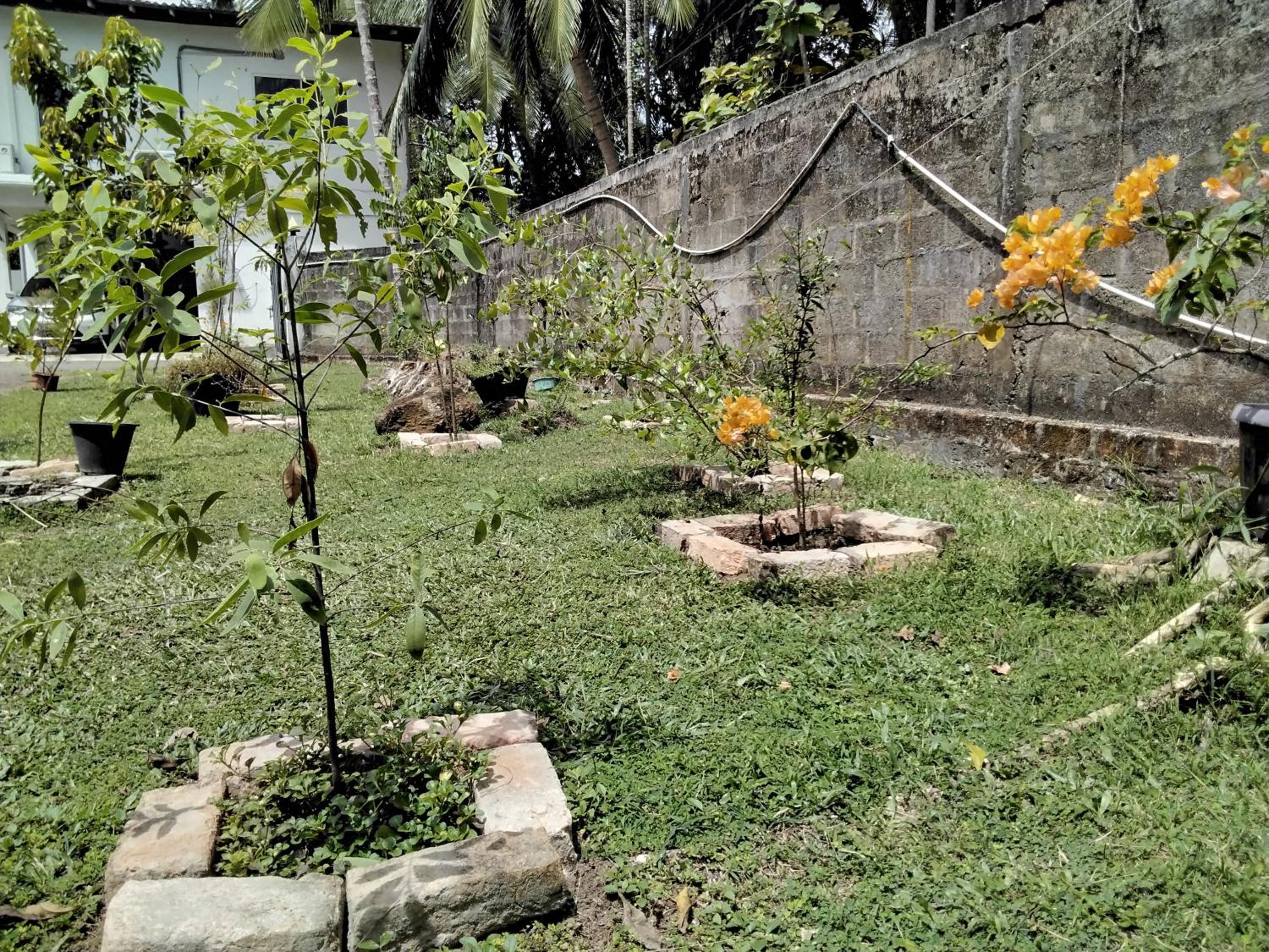 Photo 36