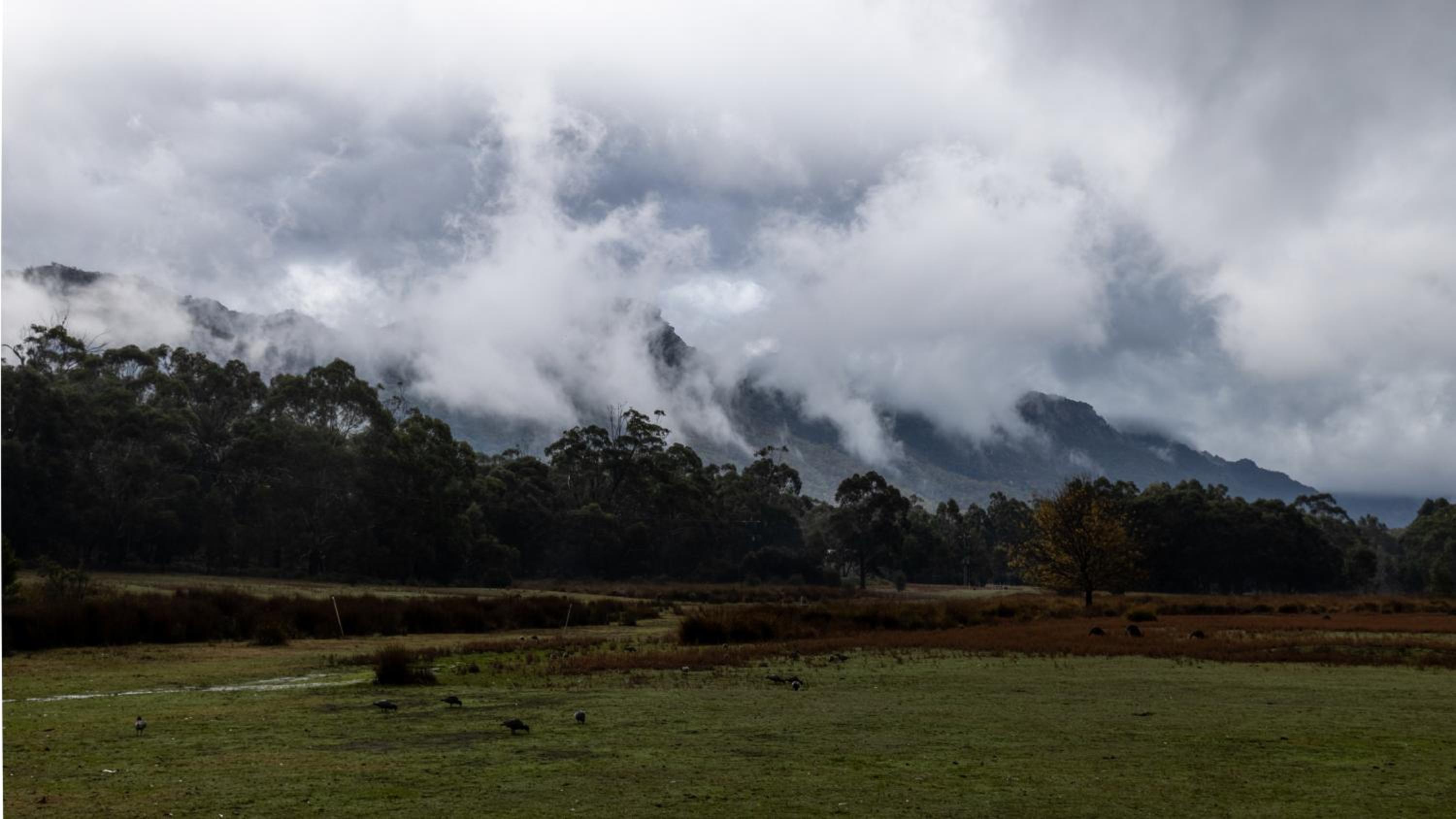 Halls Gap Lakeside Tourist Park