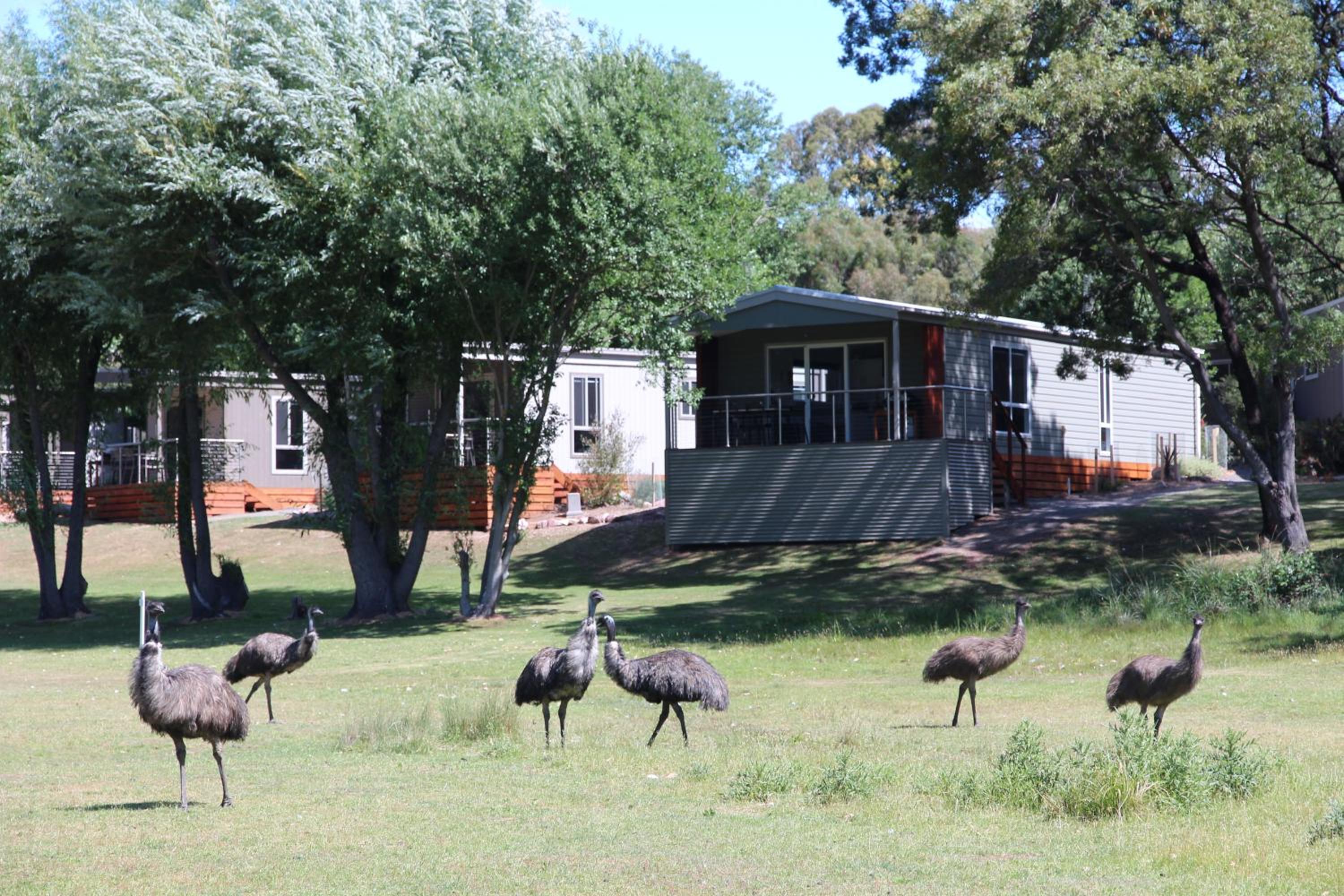 Halls Gap Lakeside Tourist Park