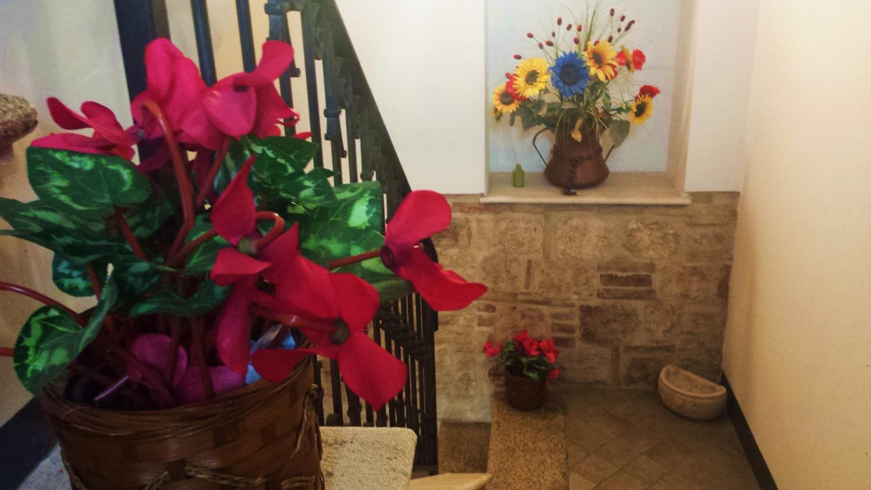 Il Ciclamino Bed and Breakfast view 4