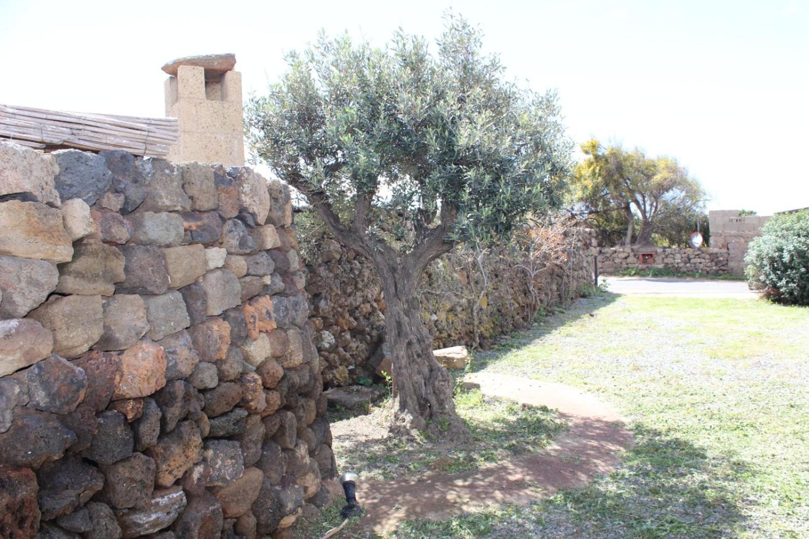 IL VIGNETO