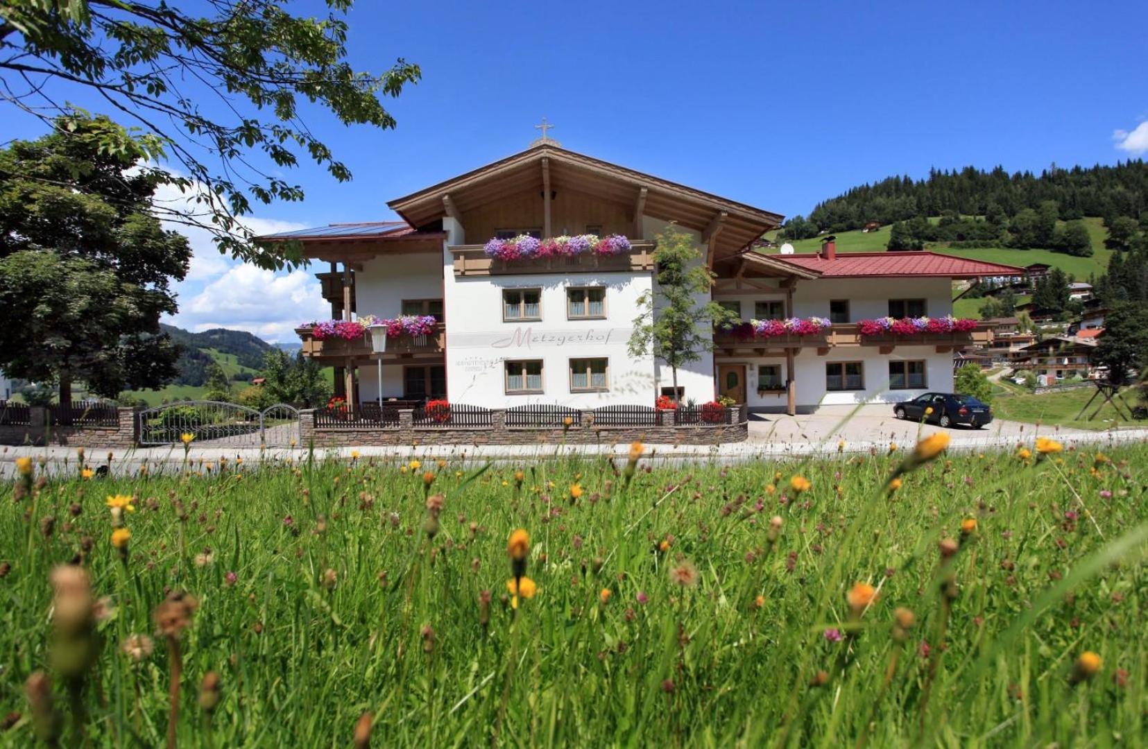 Appartements Metzgerhof view 4