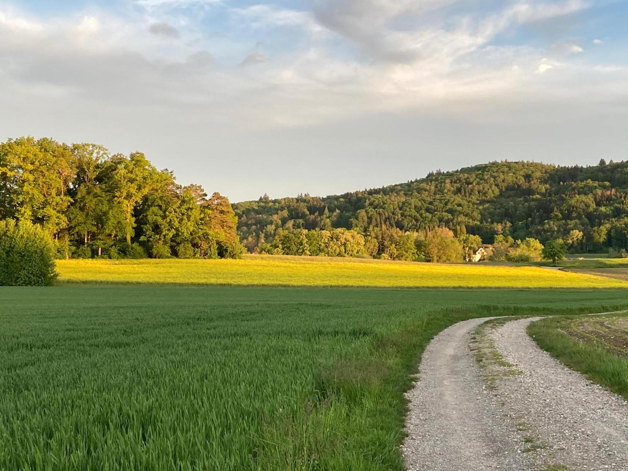 Büsingen am Hochrhein Radfahren, Wandern, Natur geniessen view 3