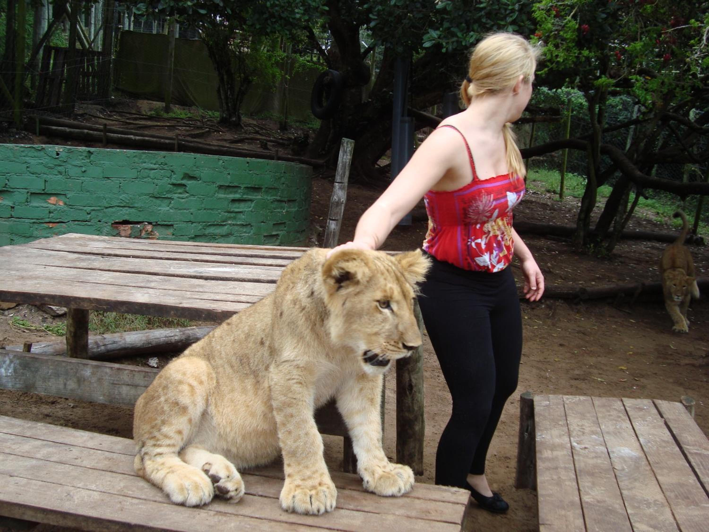 Photo 20