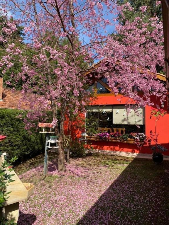 Refúgio de Montanha em Monte Verde para Famílias e Amigos com 4 Suítes