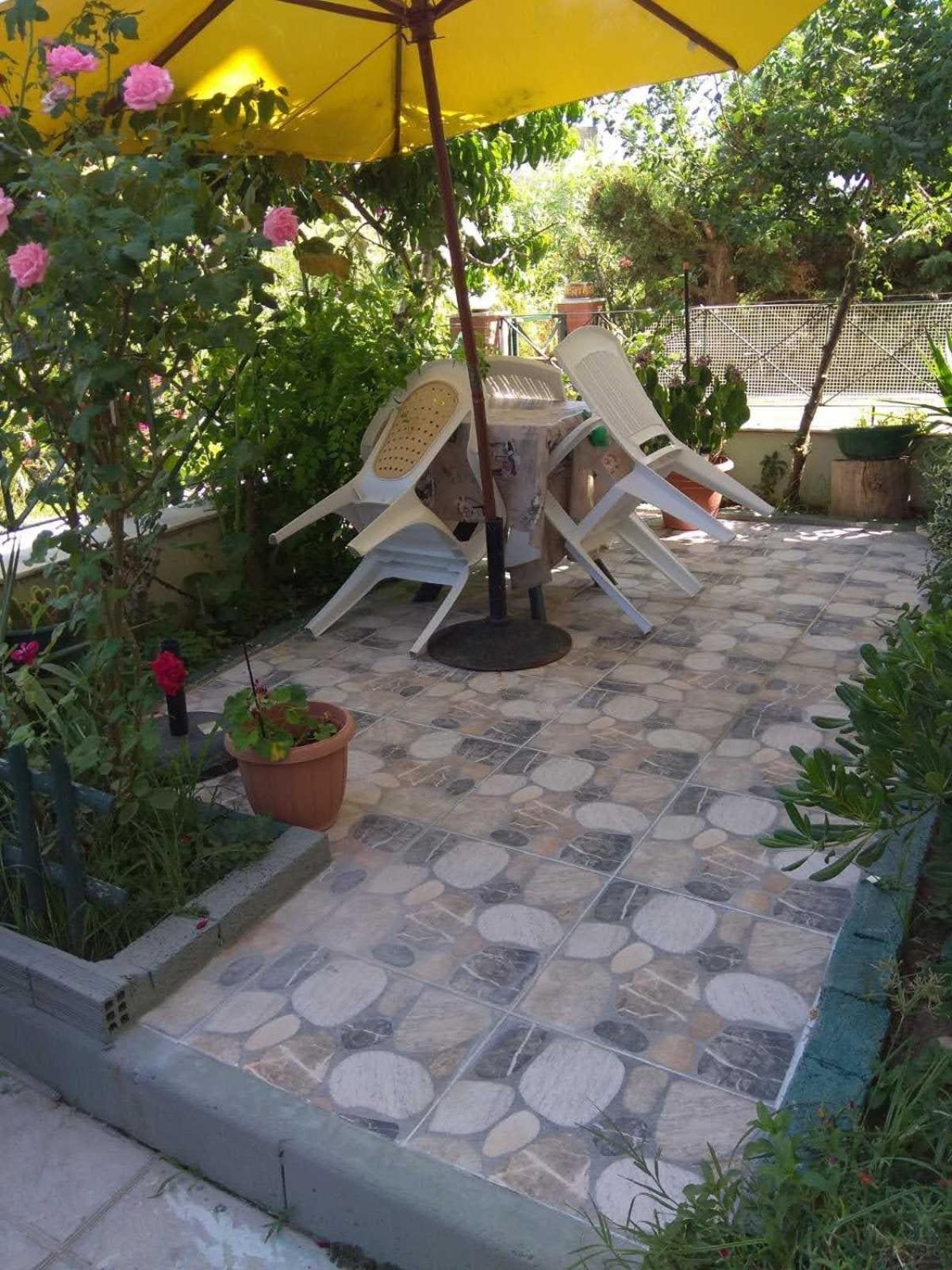 Photo 8