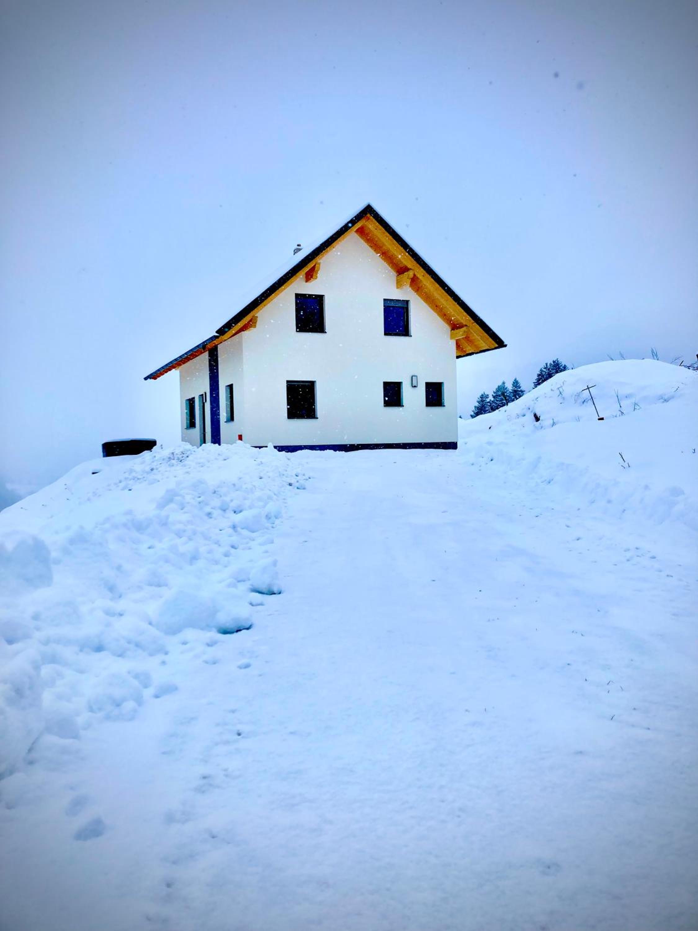 Photo 41