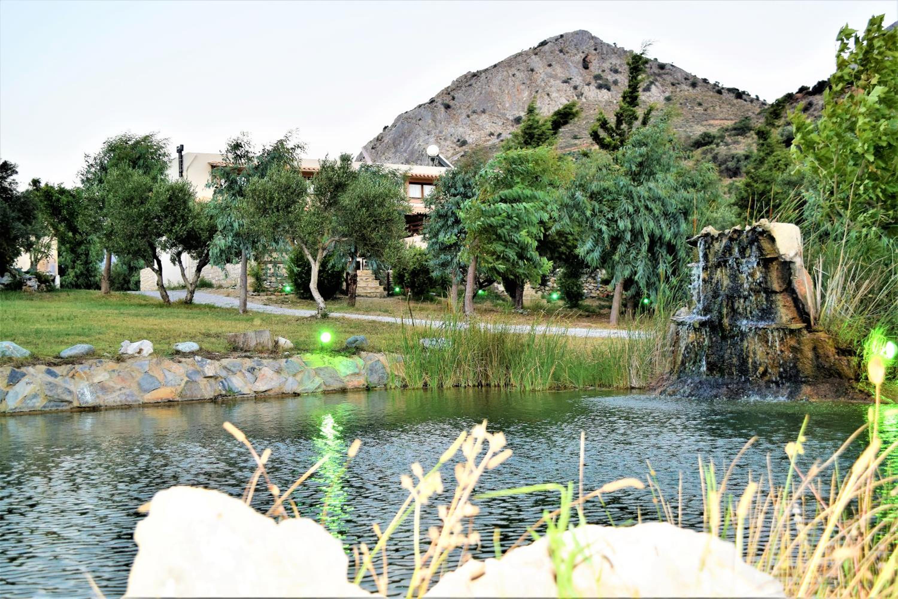 Photo 6