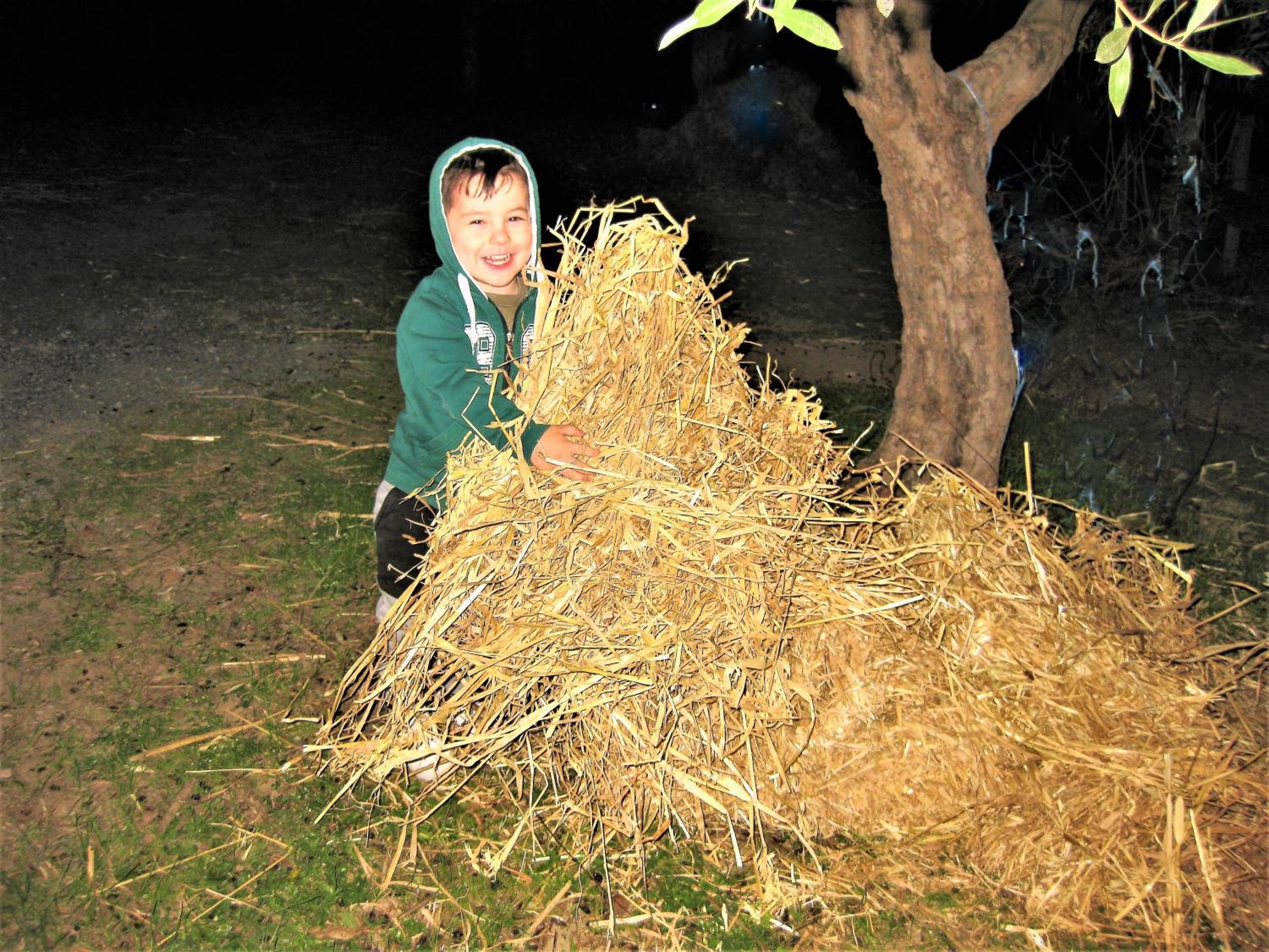 Photo 24
