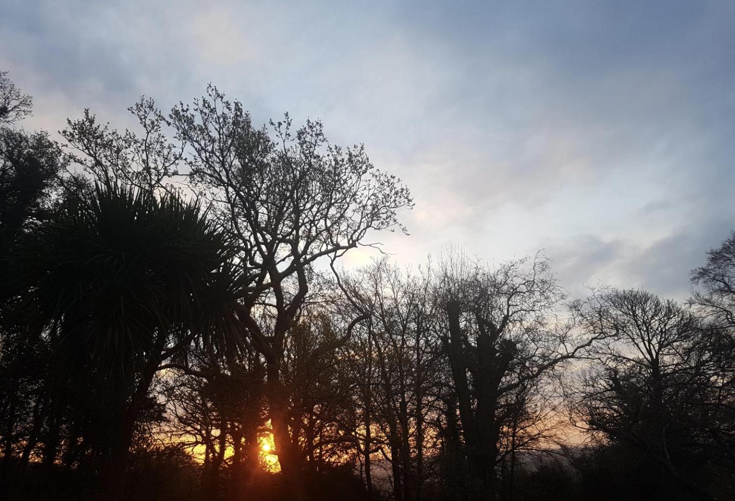 2 Bed Cottage - Sleeps 4 - Garden Pets Wifi view 3