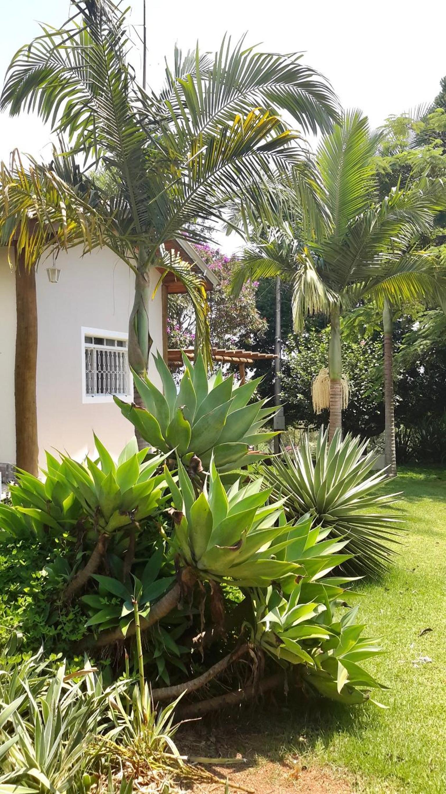 Cantinho do Paraíso