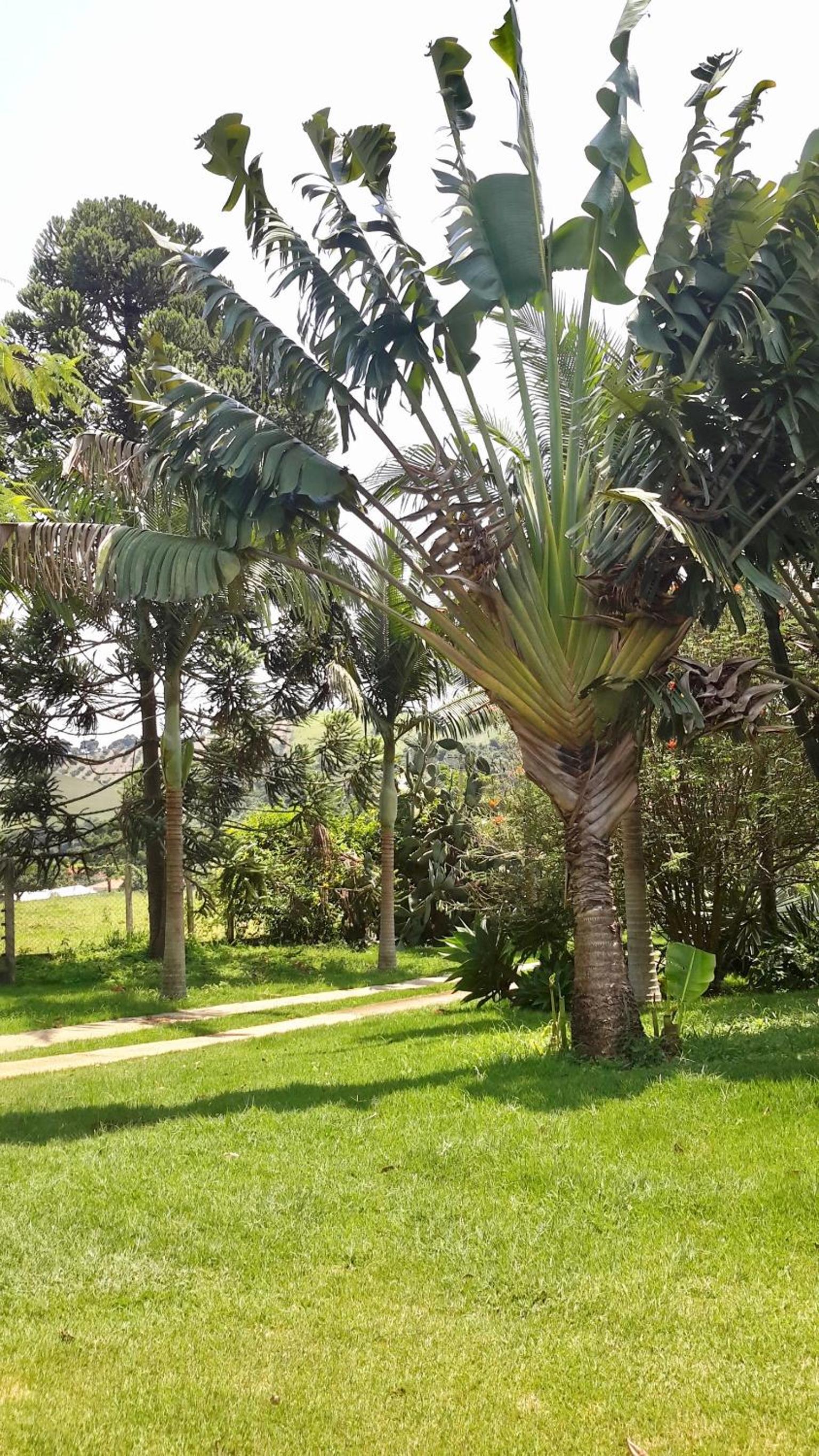Cantinho do Paraíso