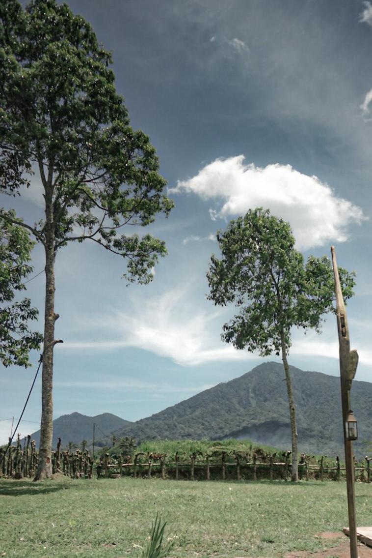 KAMPUNG KOPI CAMP view 5
