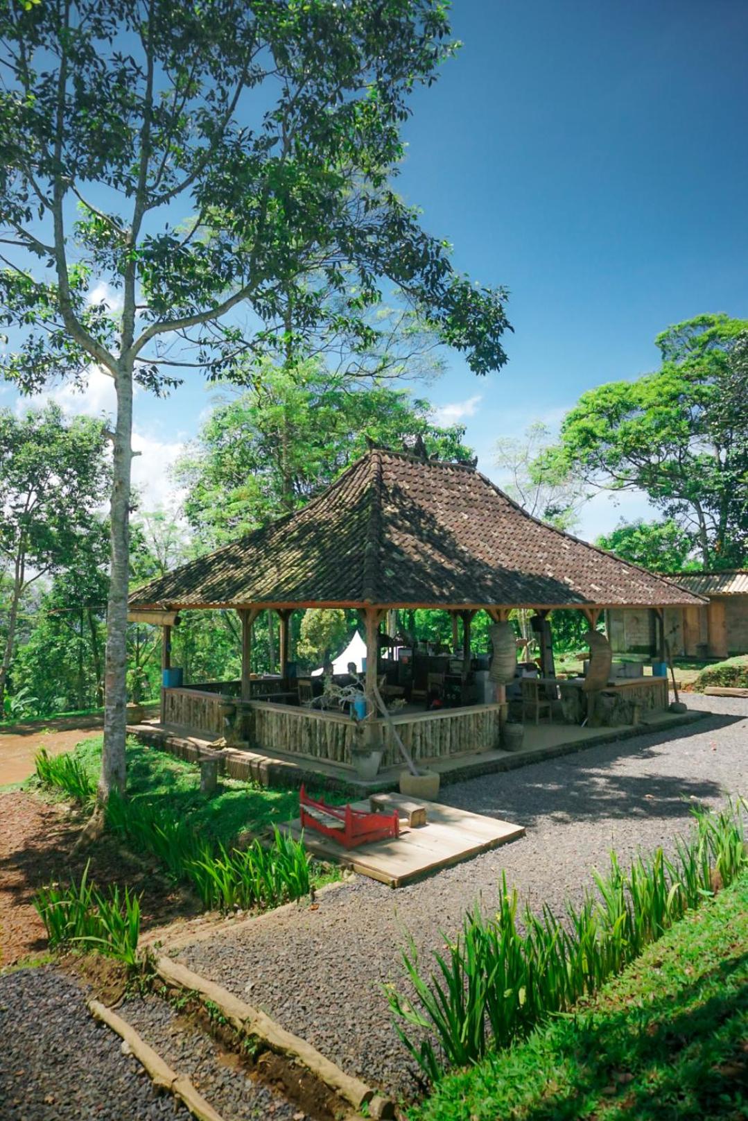 KAMPUNG KOPI CAMP view 3
