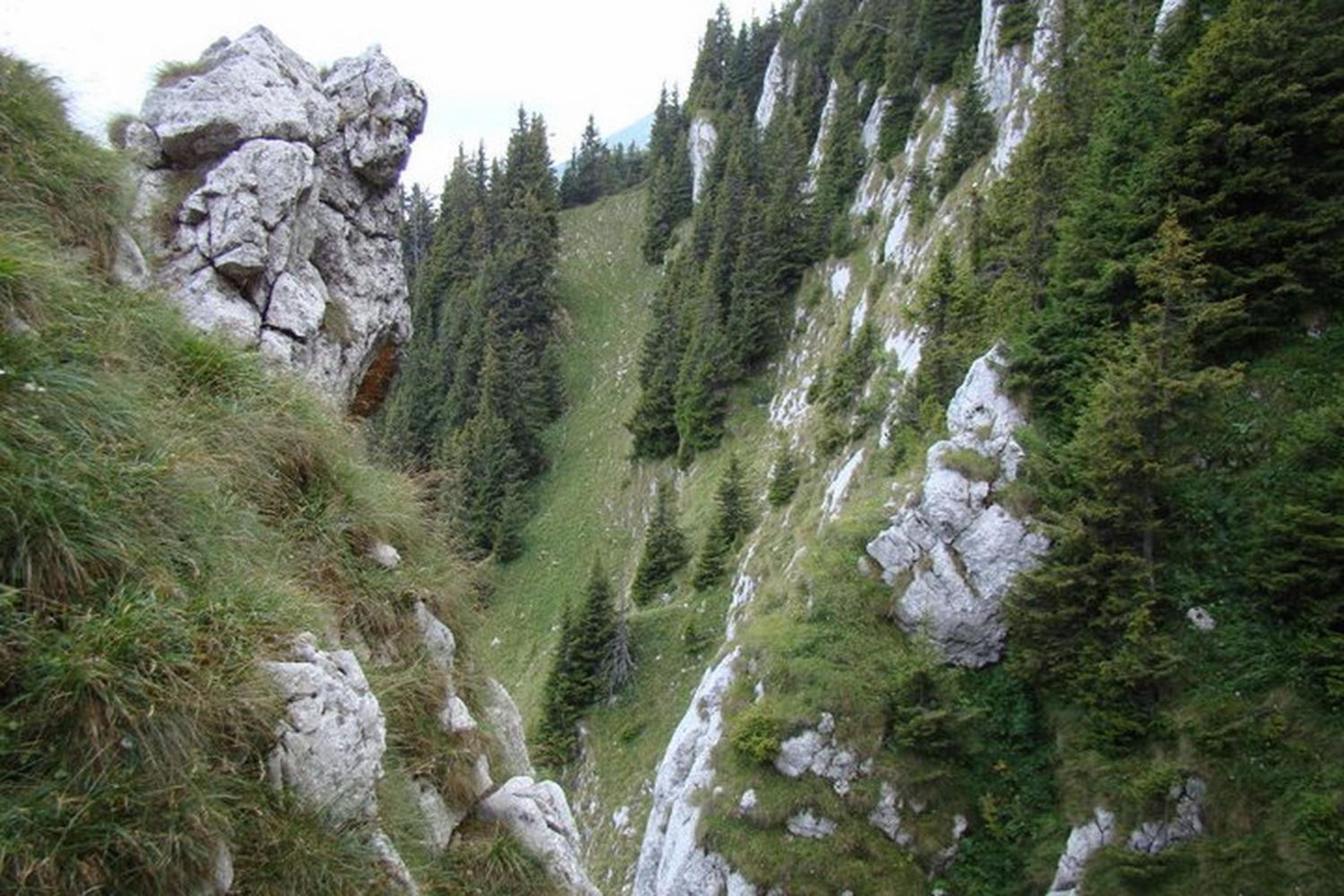 Pensiunea Irina 1 si 2