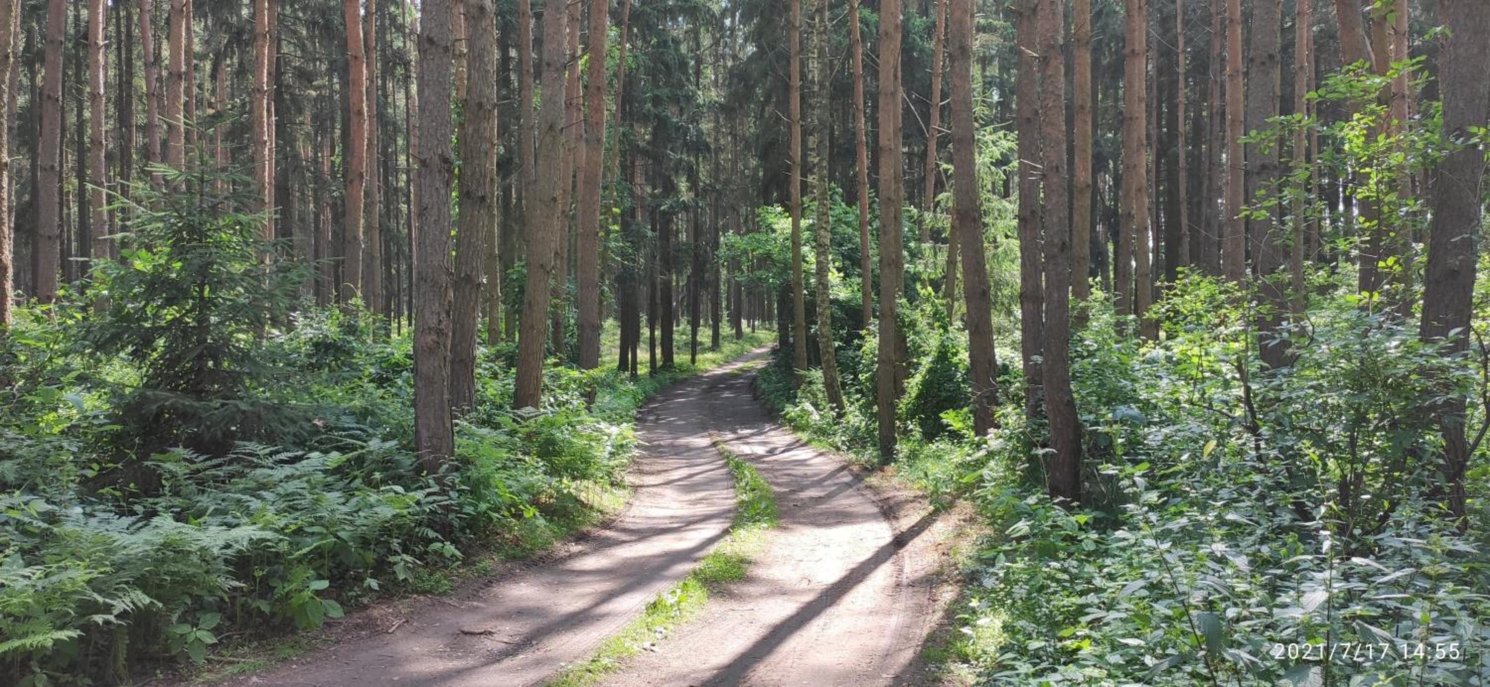 Chata Mareček - v lesní osadě u řeky Lužnice