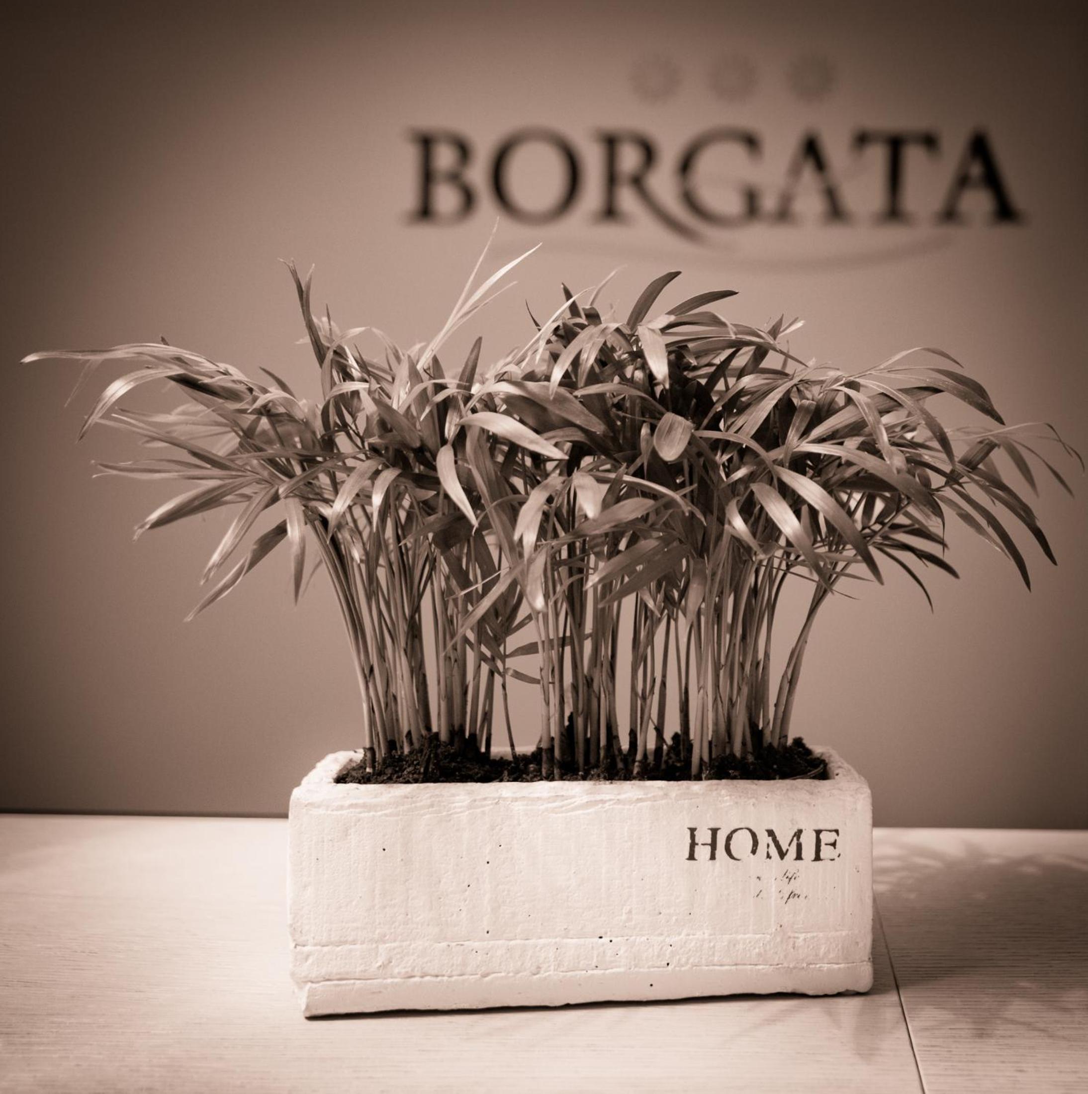 Borgata