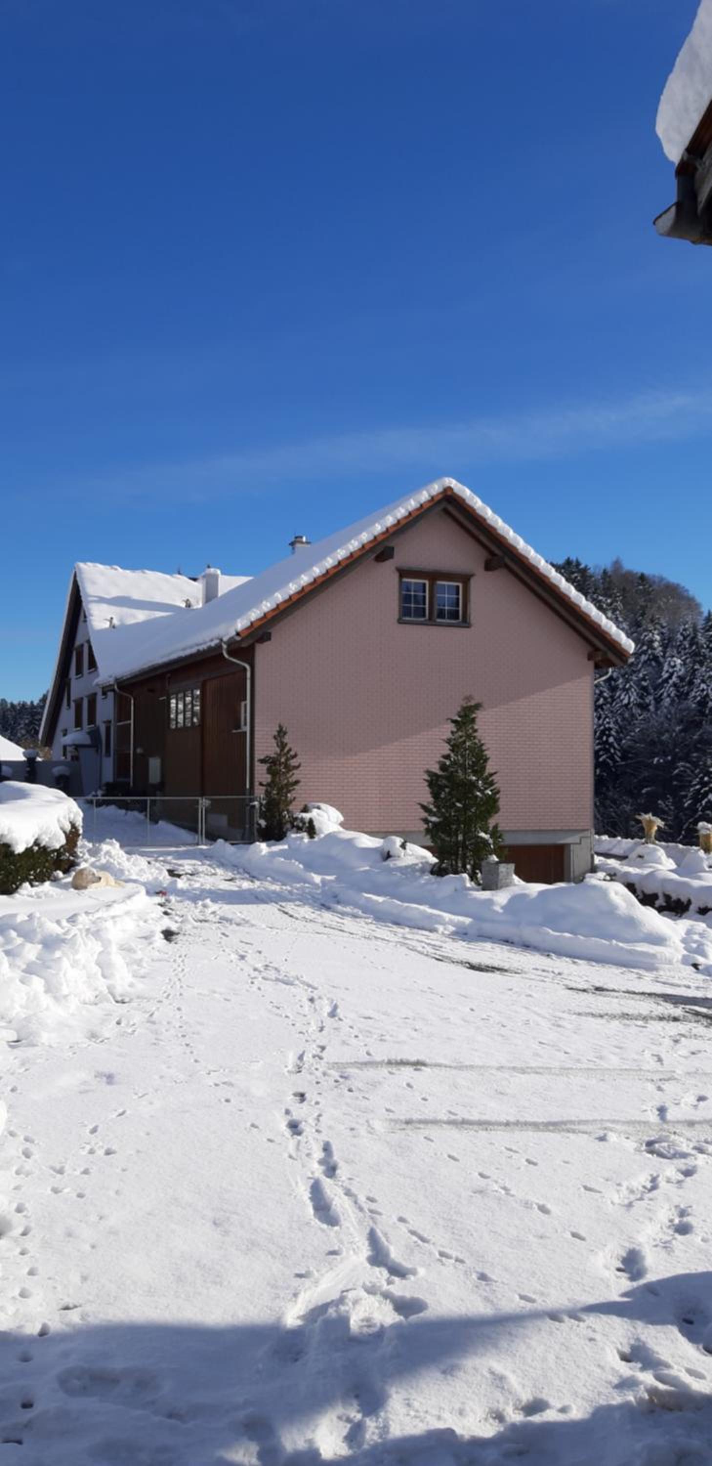 Loft in der Natur mit Gartenzugang und Sauna view 4