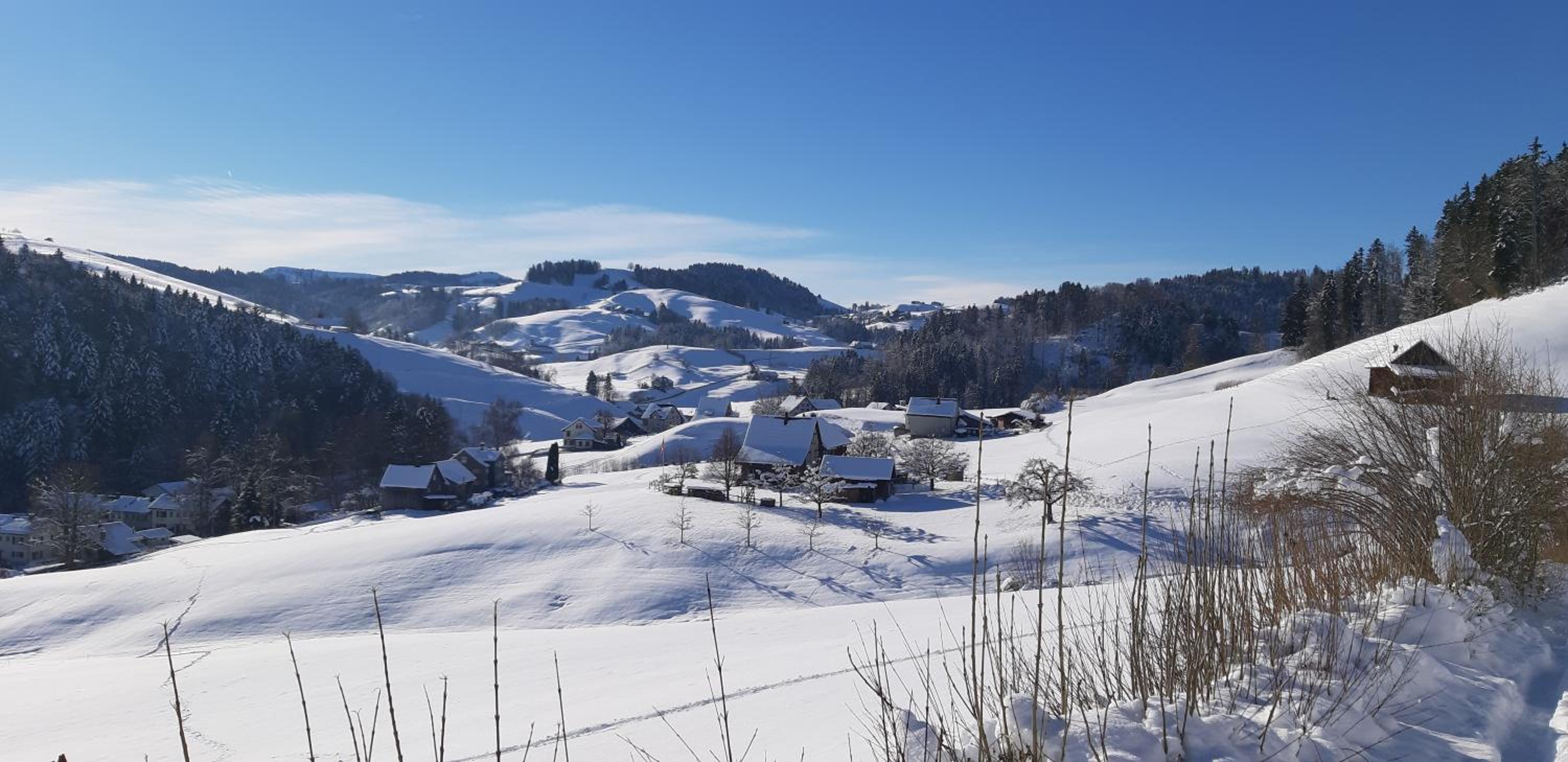 Loft in der Natur mit Gartenzugang und Sauna view 5