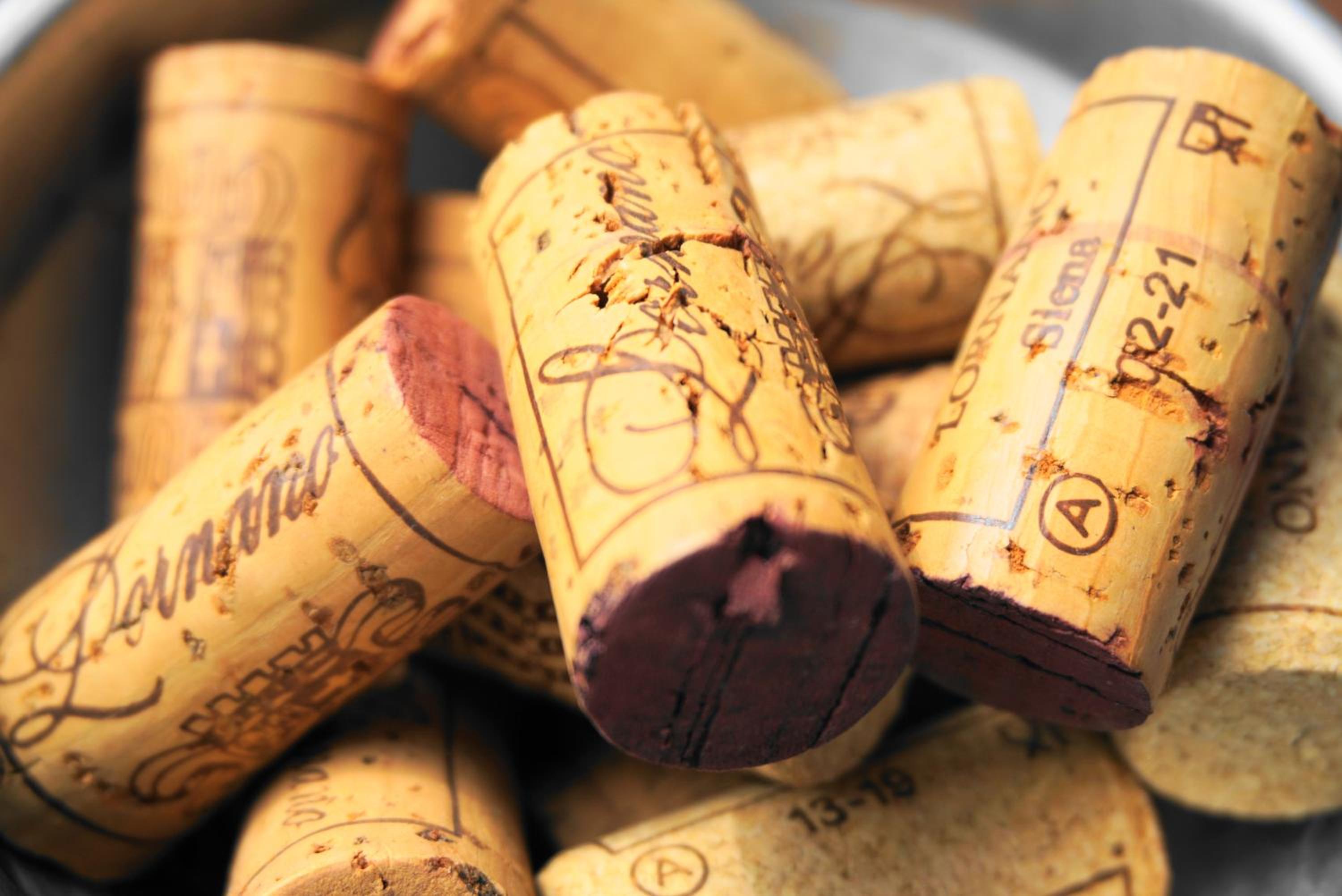 Fattoria Lornano Winery