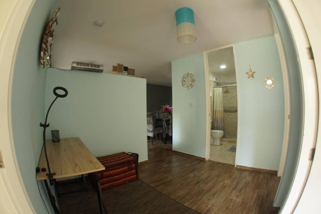 Photo 8